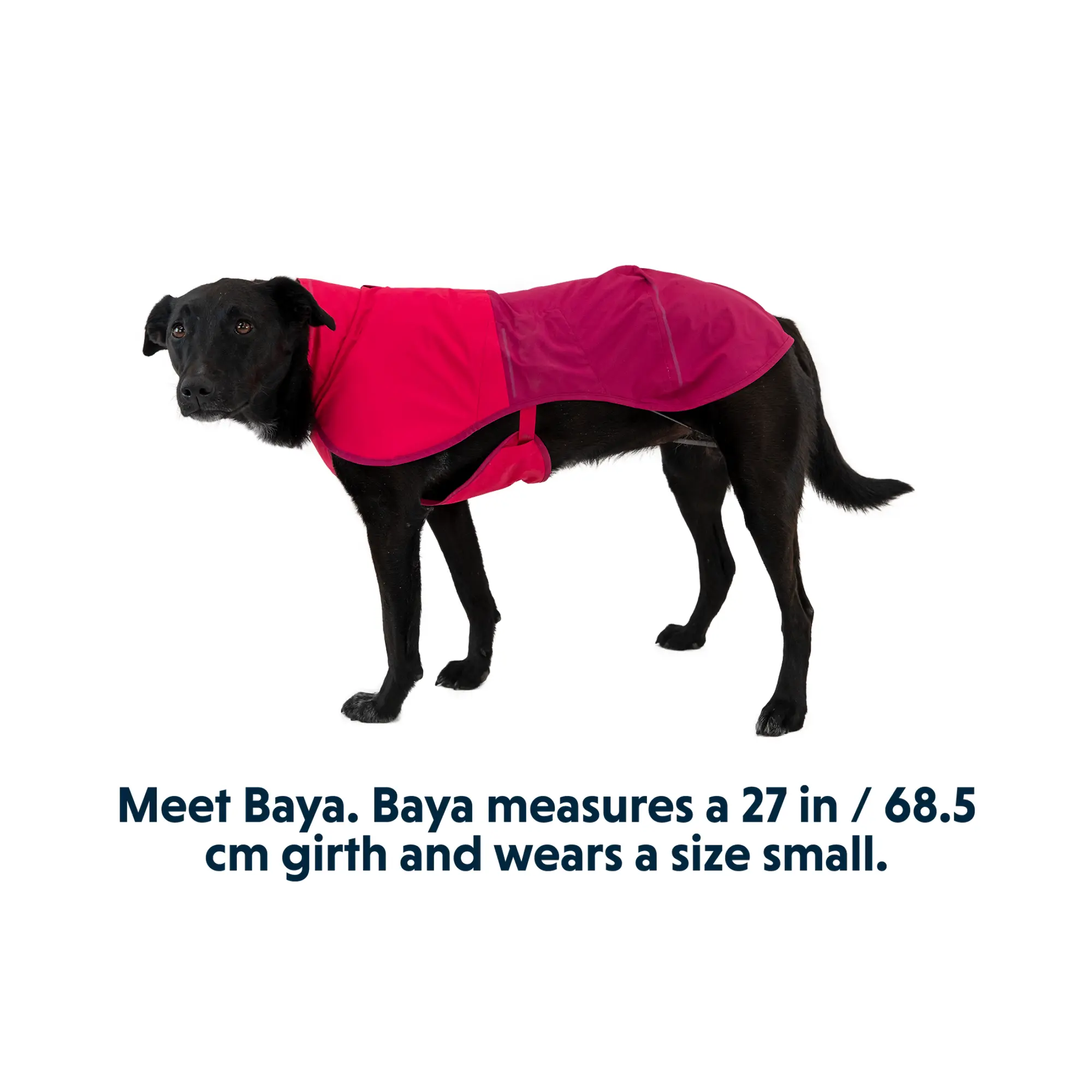 Product image 10 of 18 of RUFFWEAR Sun Shower Dog Raincoat - Midnight Blue