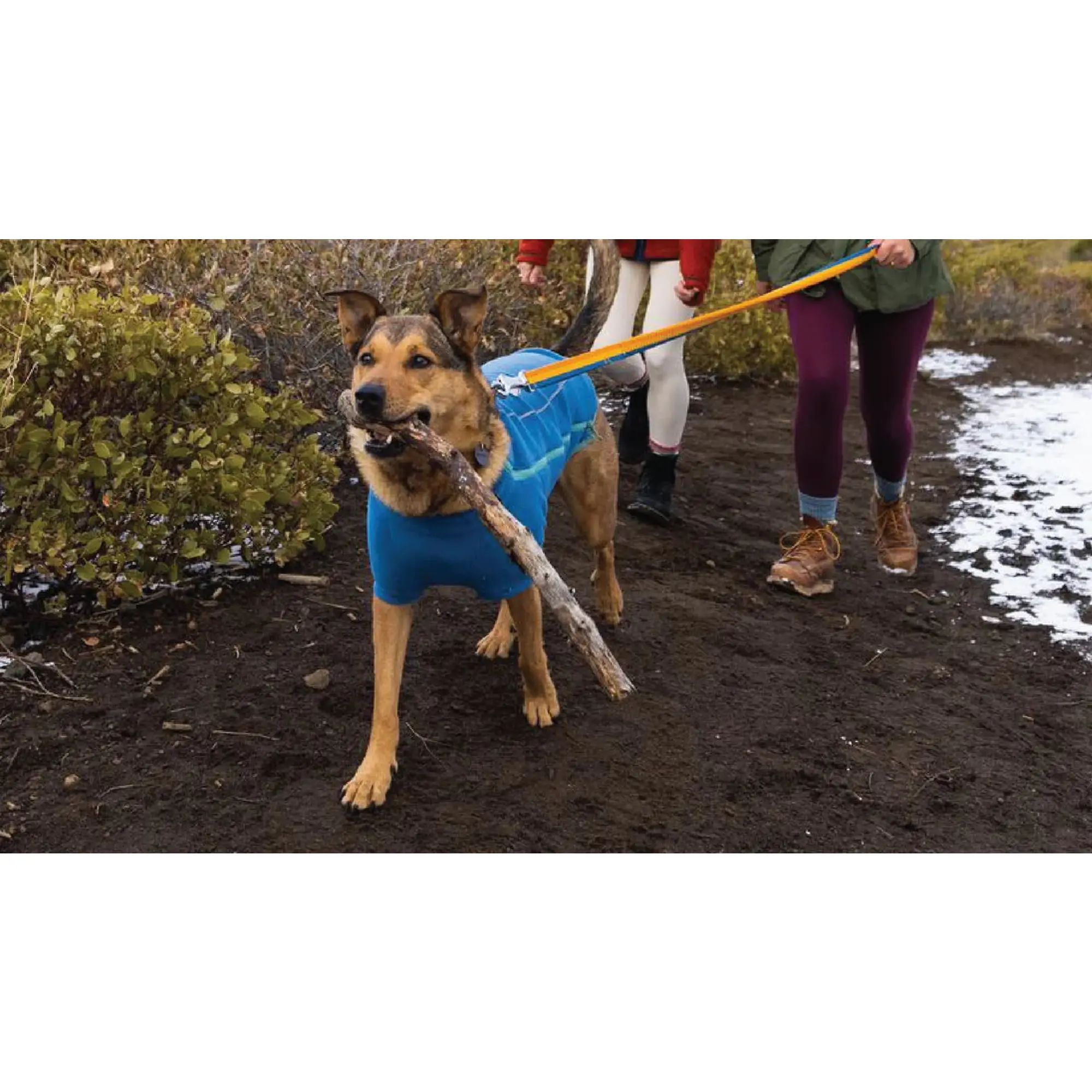 Product image 11 of 14 of RUFFWEAR Climate Changer Dog Fleece - Blue Jay