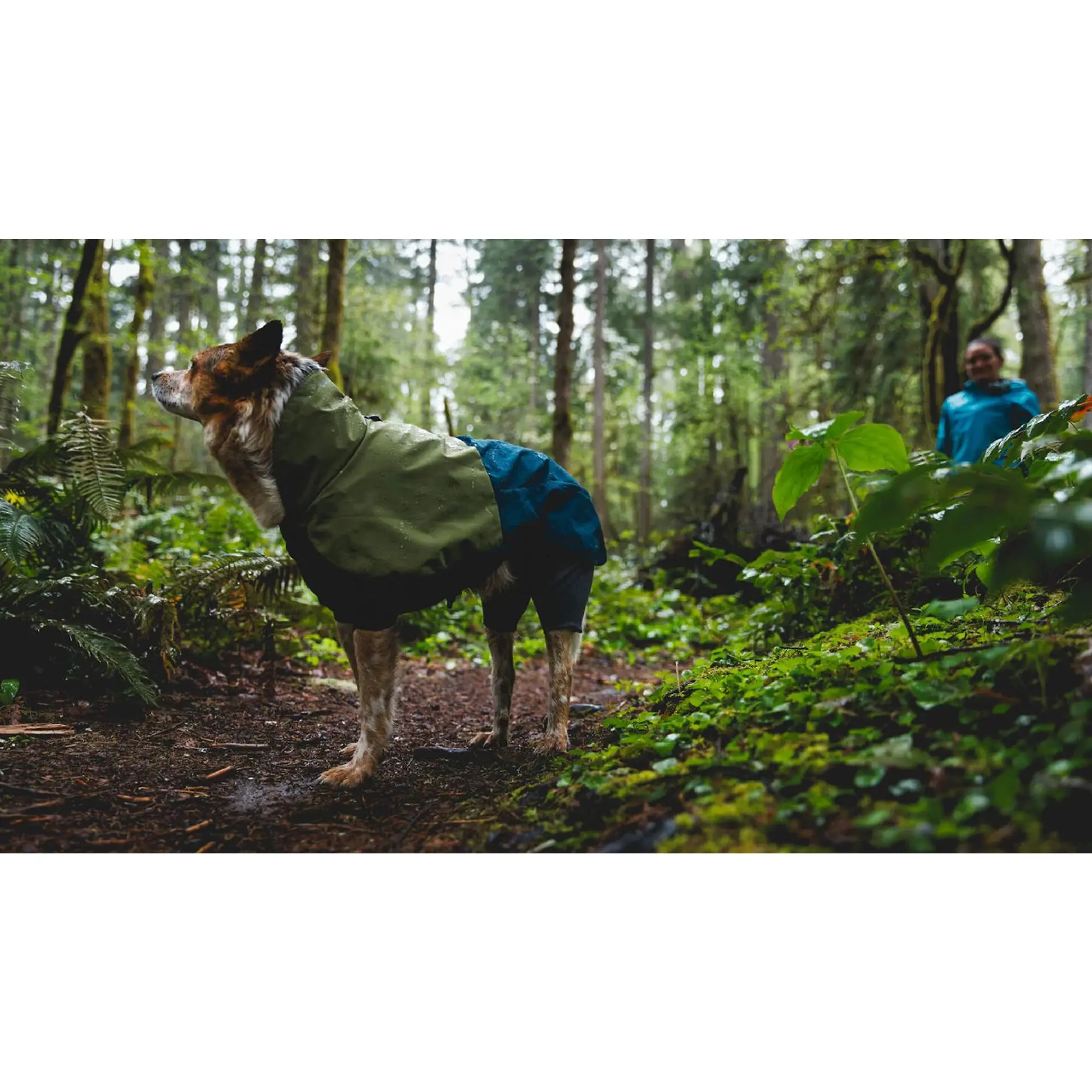 Product image 7 of 8 of RUFFWEAR Sun Shower Coverall Dog Rain Suit - Midnight Blue