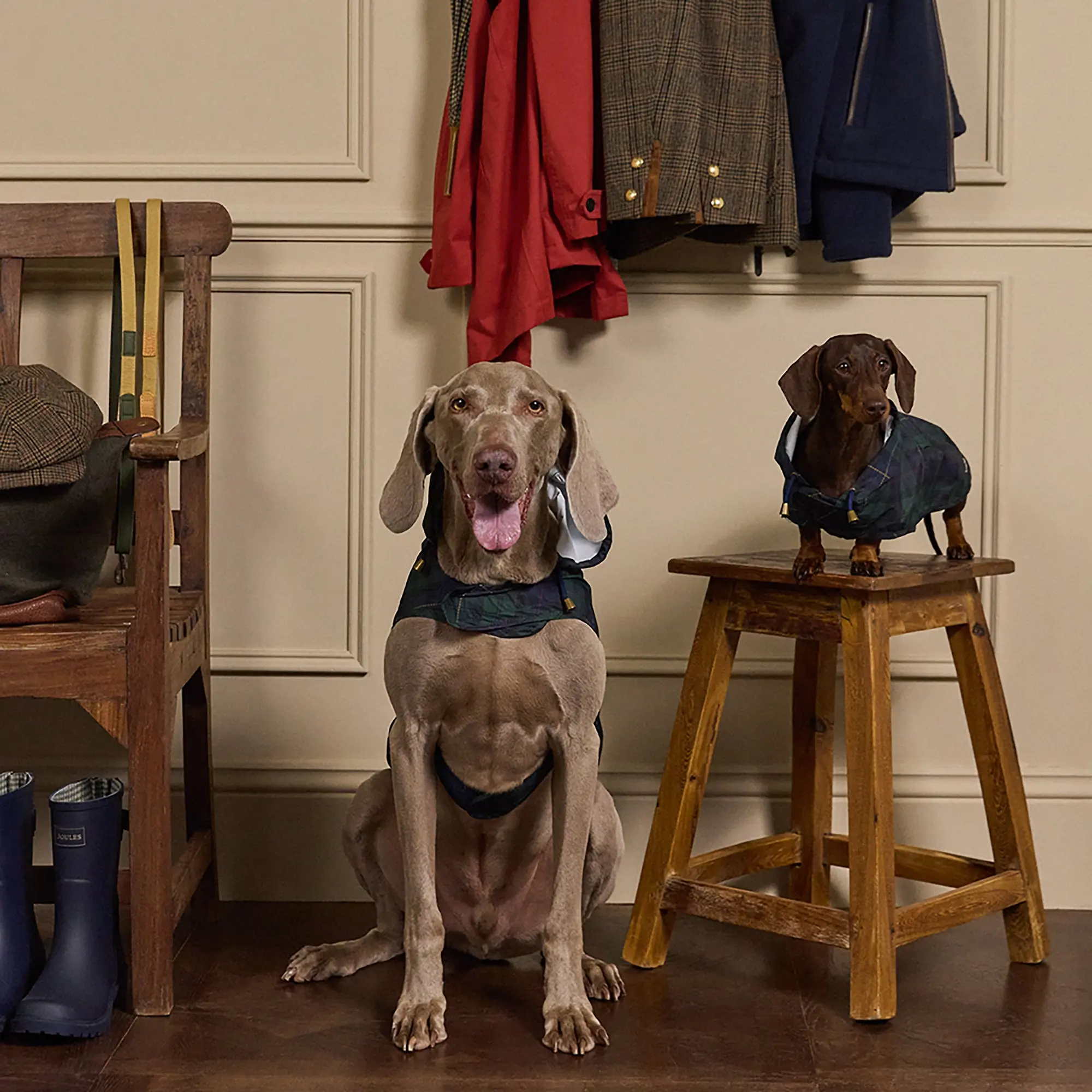 Product image 8 of 15 of Joules Packaway Dog Jacket - Blackwatch Check