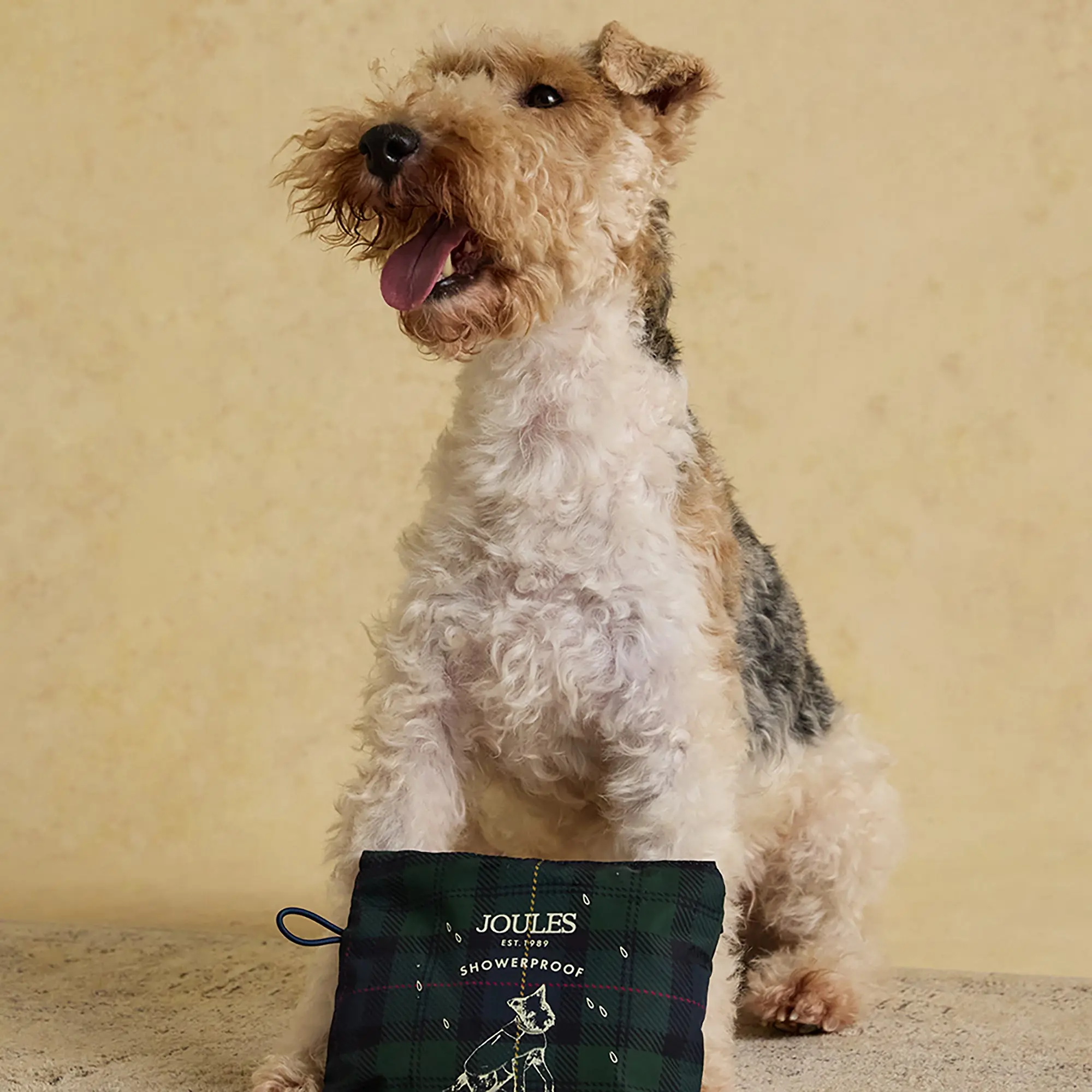 Product image 11 of 15 of Joules Packaway Dog Jacket - Blackwatch Check