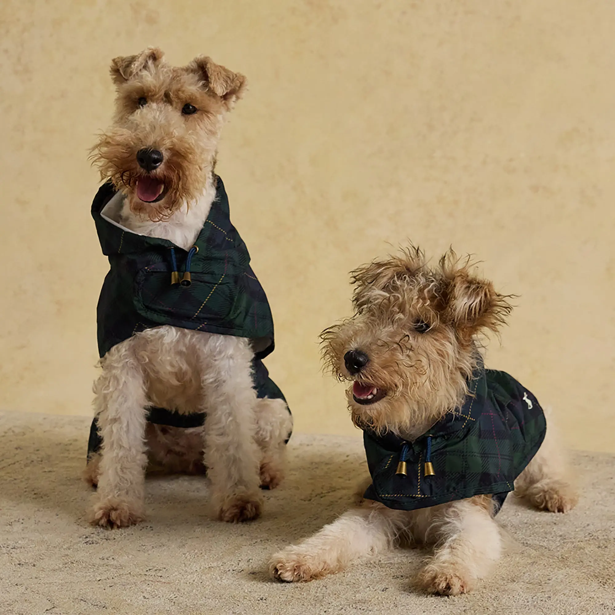 Product image 12 of 15 of Joules Packaway Dog Jacket - Blackwatch Check
