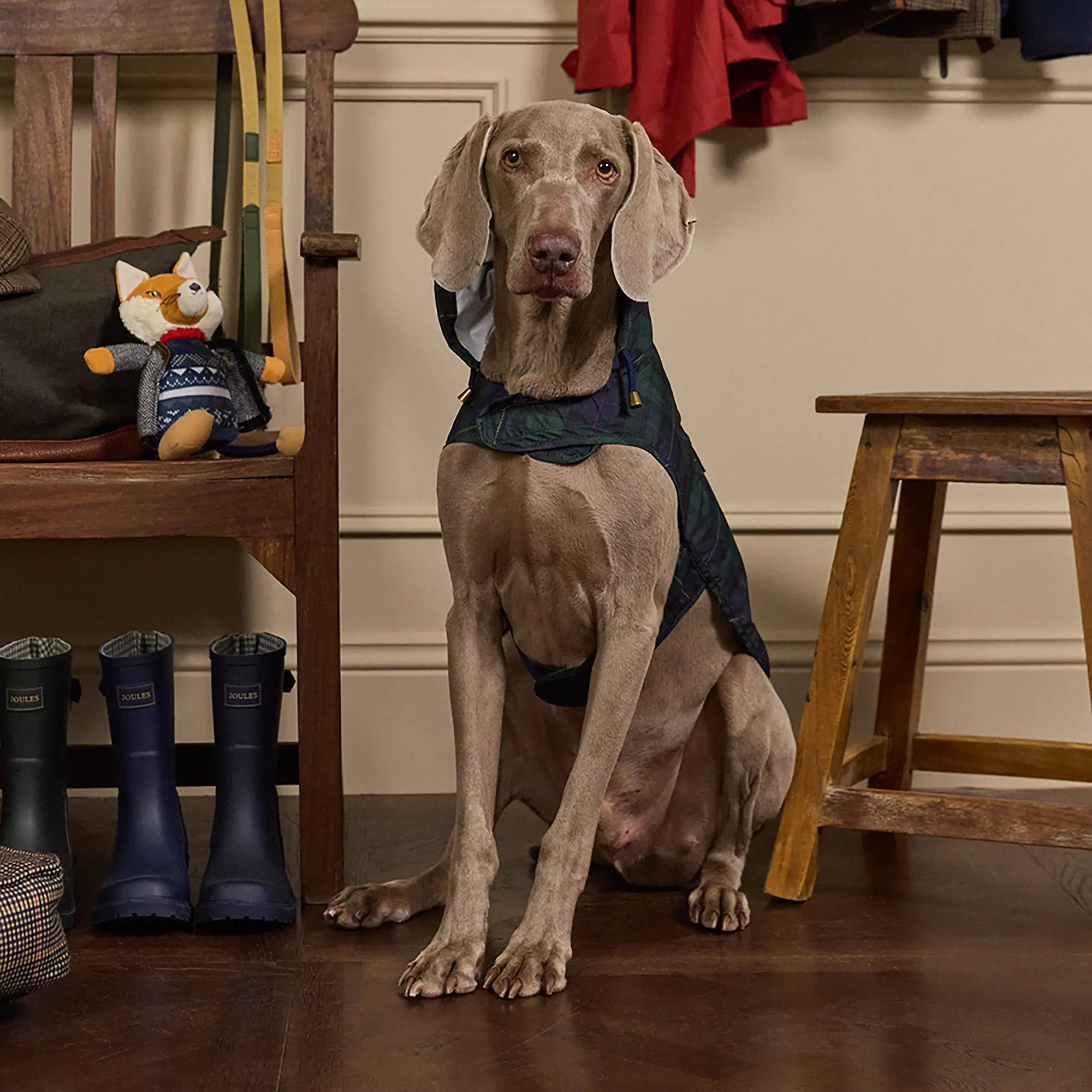 Product image 5 of 15 of Joules Packaway Dog Jacket - Blackwatch Check