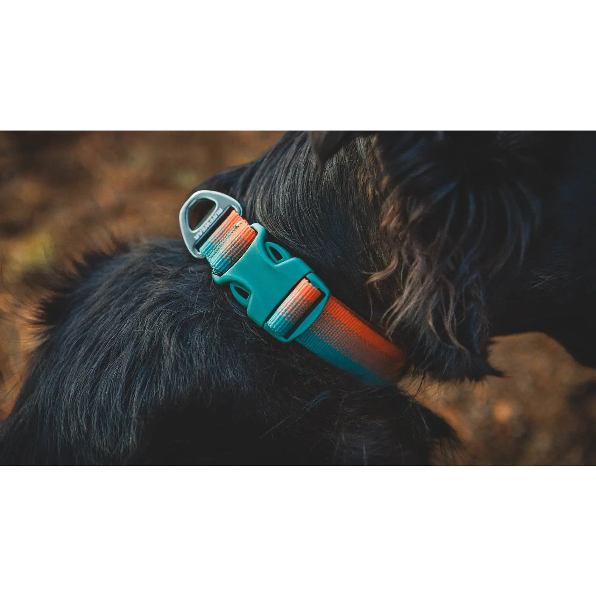 Product image 5 of 7 of RUFFWEAR Front Range Dog Collar - Basalt Gray