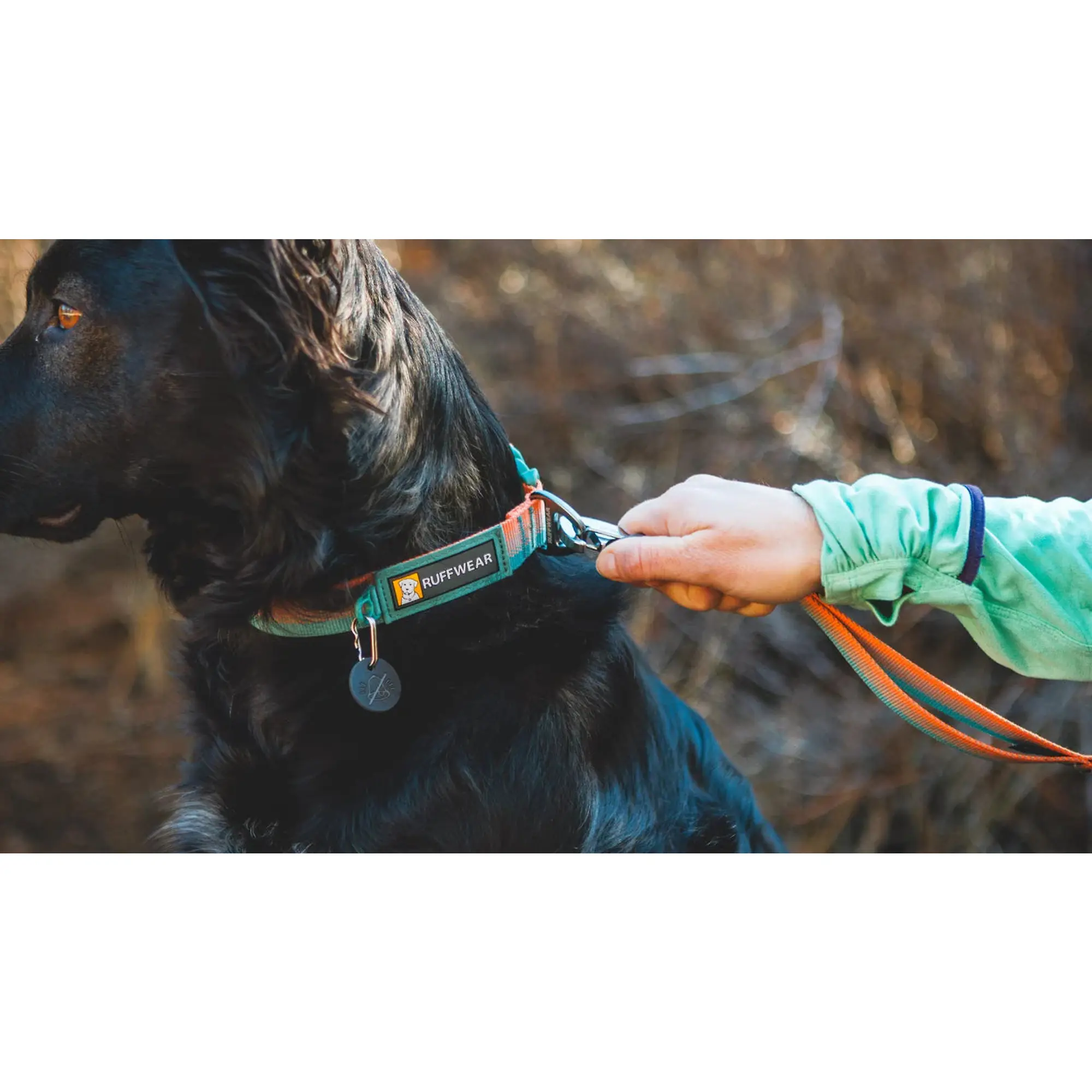 Product image 6 of 7 of RUFFWEAR Front Range Dog Collar - Basalt Gray