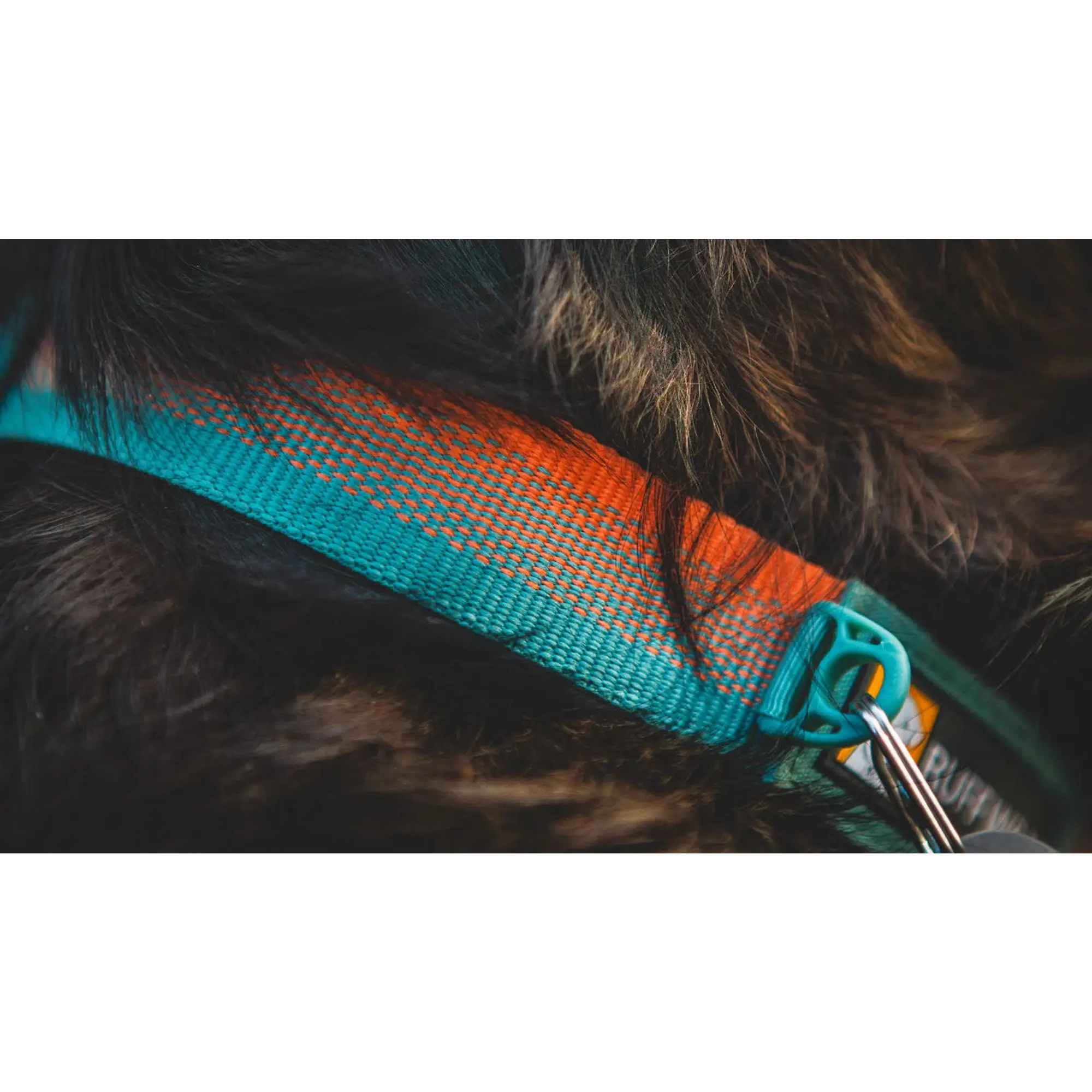 Product image 7 of 7 of RUFFWEAR Front Range Dog Collar - Basalt Gray