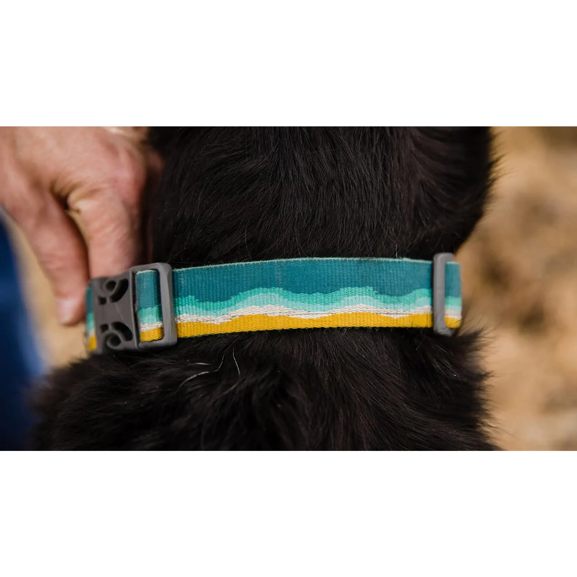 Product image 4 of 7 of RUFFWEAR Crag Reflective Dog Collar - Alpine Dusk