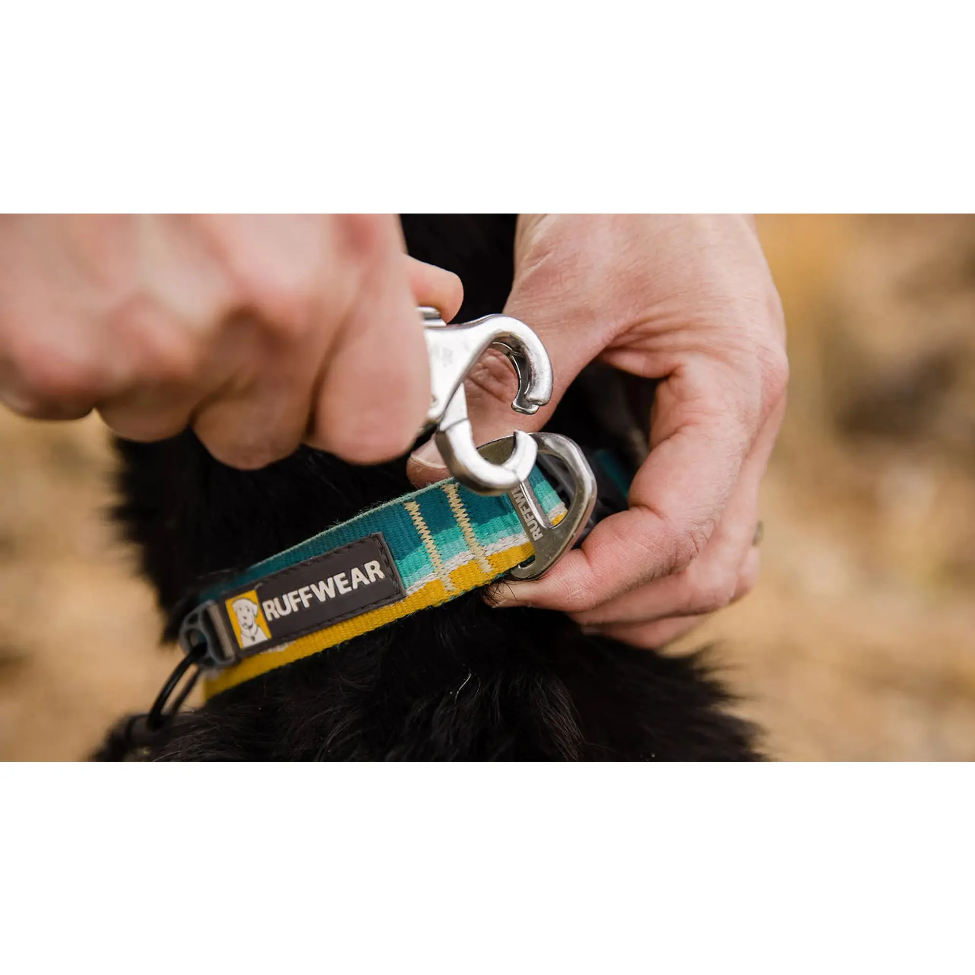 Product image 6 of 7 of RUFFWEAR Crag Reflective Dog Collar - Alpine Dusk