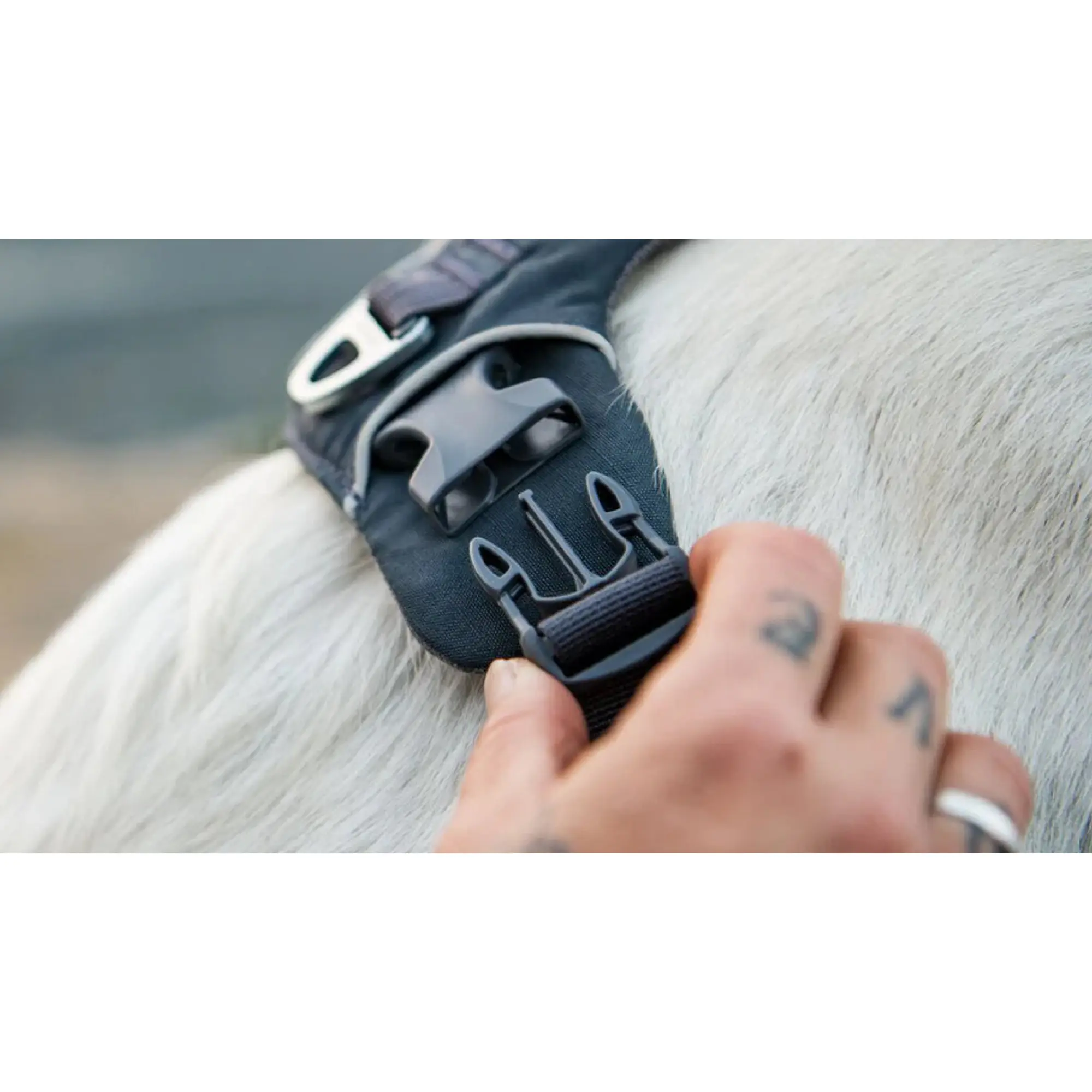 Product image 12 of 15 of RUFFWEAR Front Range Dog Harness - Moonlight Mountains