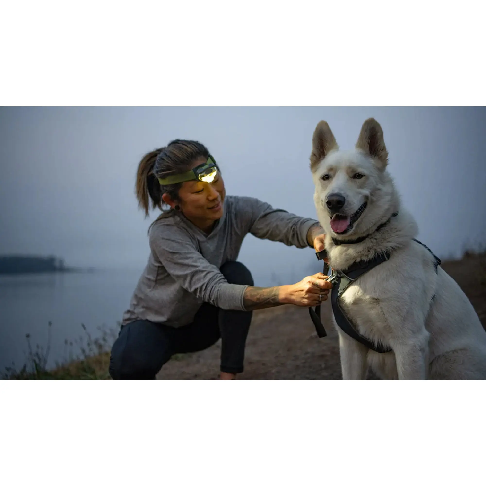 Product image 11 of 15 of RUFFWEAR Front Range Dog Harness - Moonlight Mountains