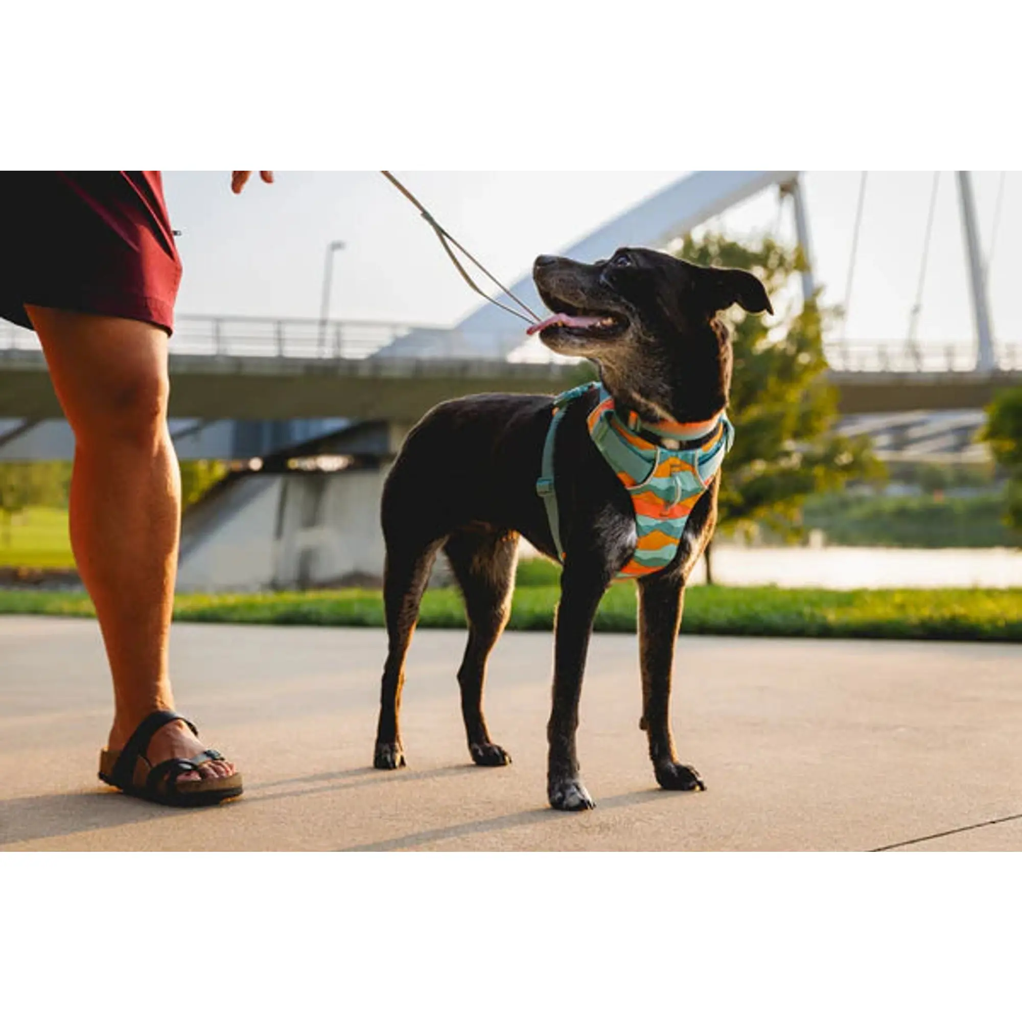 Product image 6 of 9 of RUFFWEAR Front Range Dog Lead - Basalt Grey