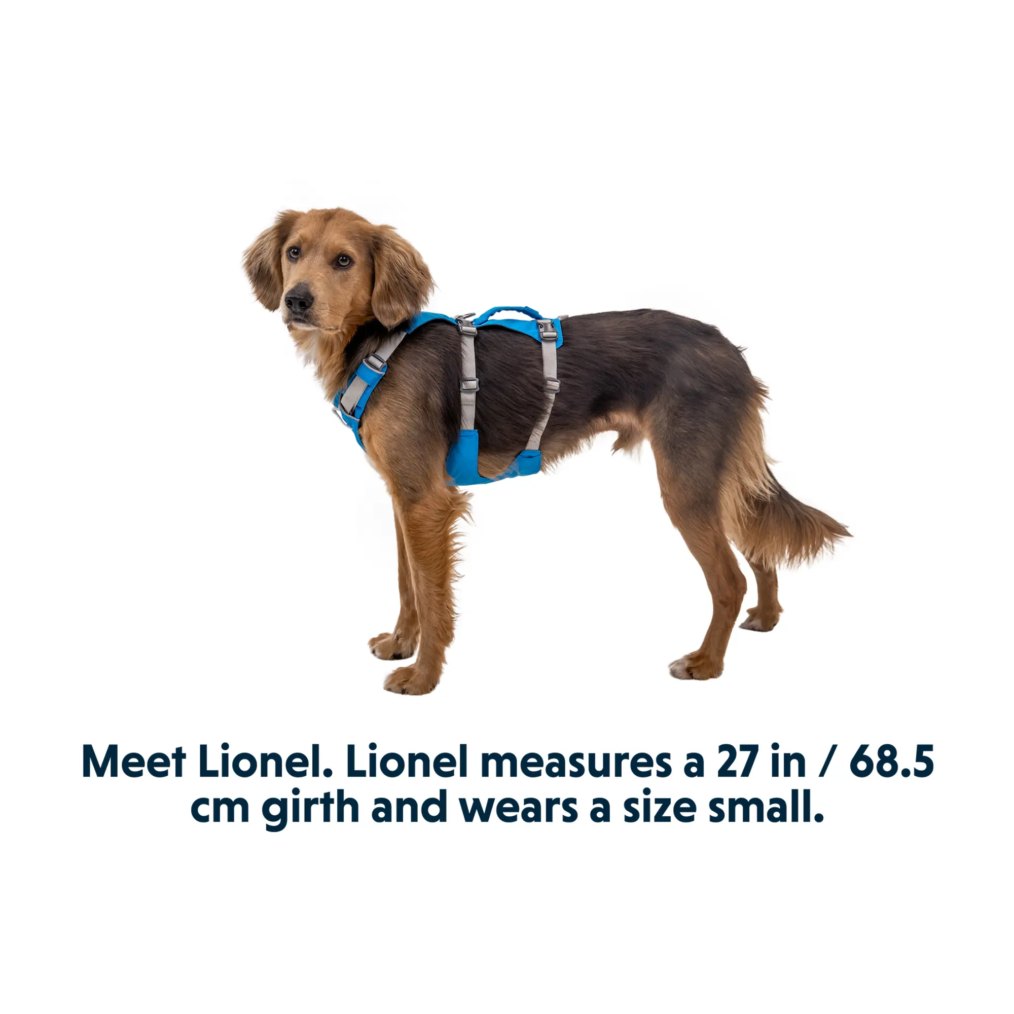 Product image 15 of 17 of RUFFWEAR Flagline Dog Harness - Basalt Grey