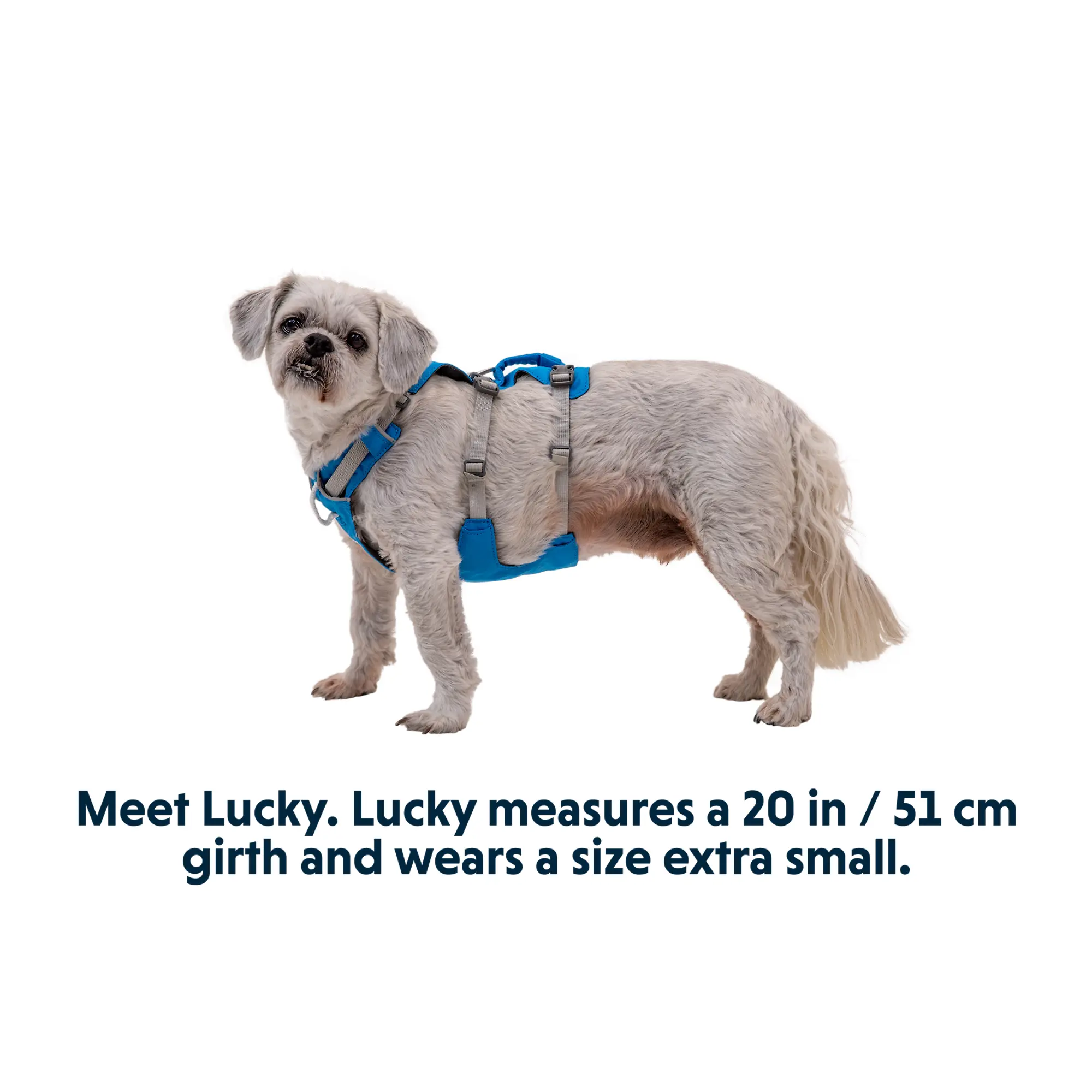 Product image 14 of 17 of RUFFWEAR Flagline Dog Harness - Basalt Grey