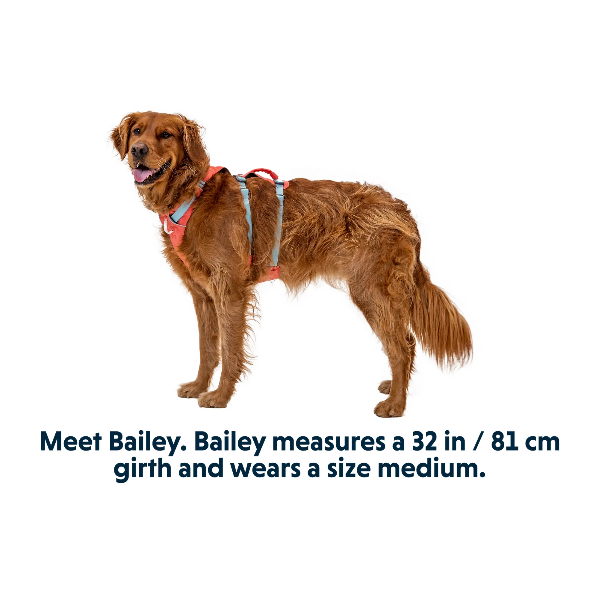 Product image 16 of 17 of RUFFWEAR Flagline Dog Harness - Basalt Grey
