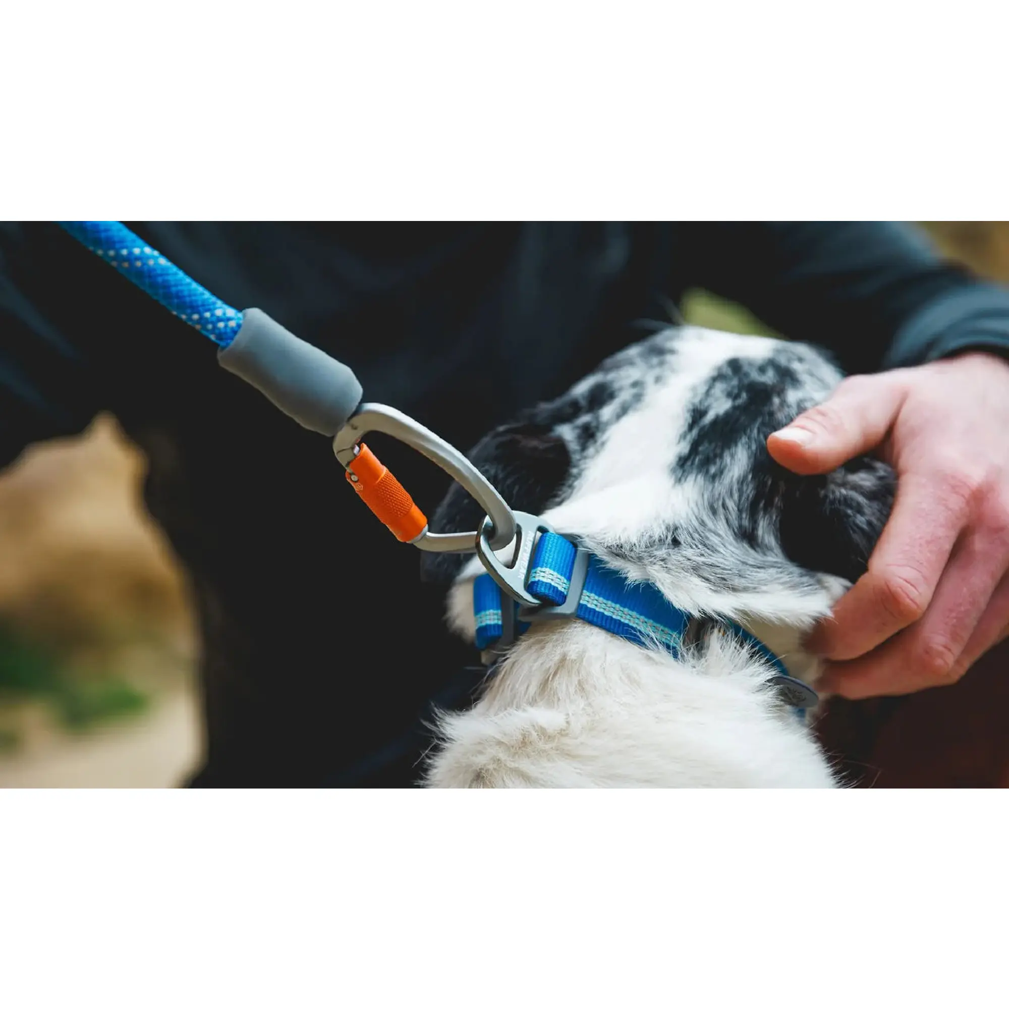 Product image 11 of 11 of RUFFWEAR Knot-a-Leash Rope Dog Lead (Large) - Obsidian Black