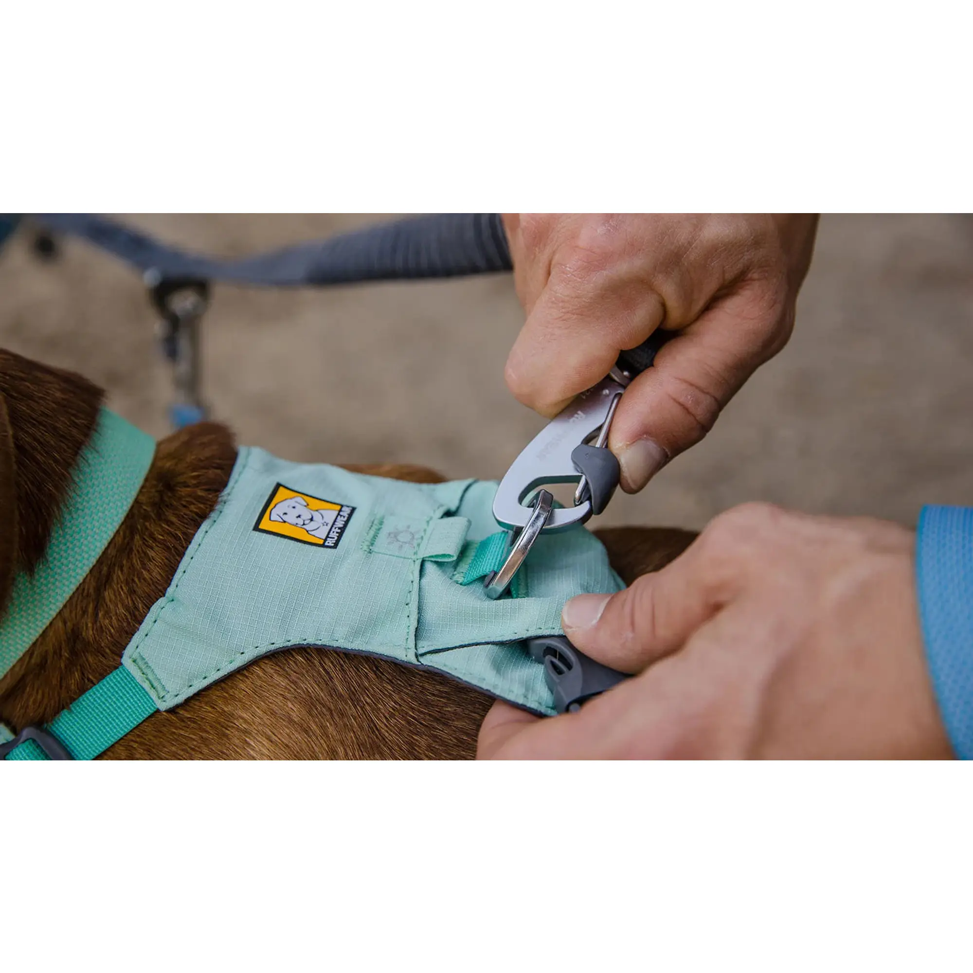 Product image 5 of 8 of RUFFWEAR Double Track Dog Lead Coupler - Basalt Grey