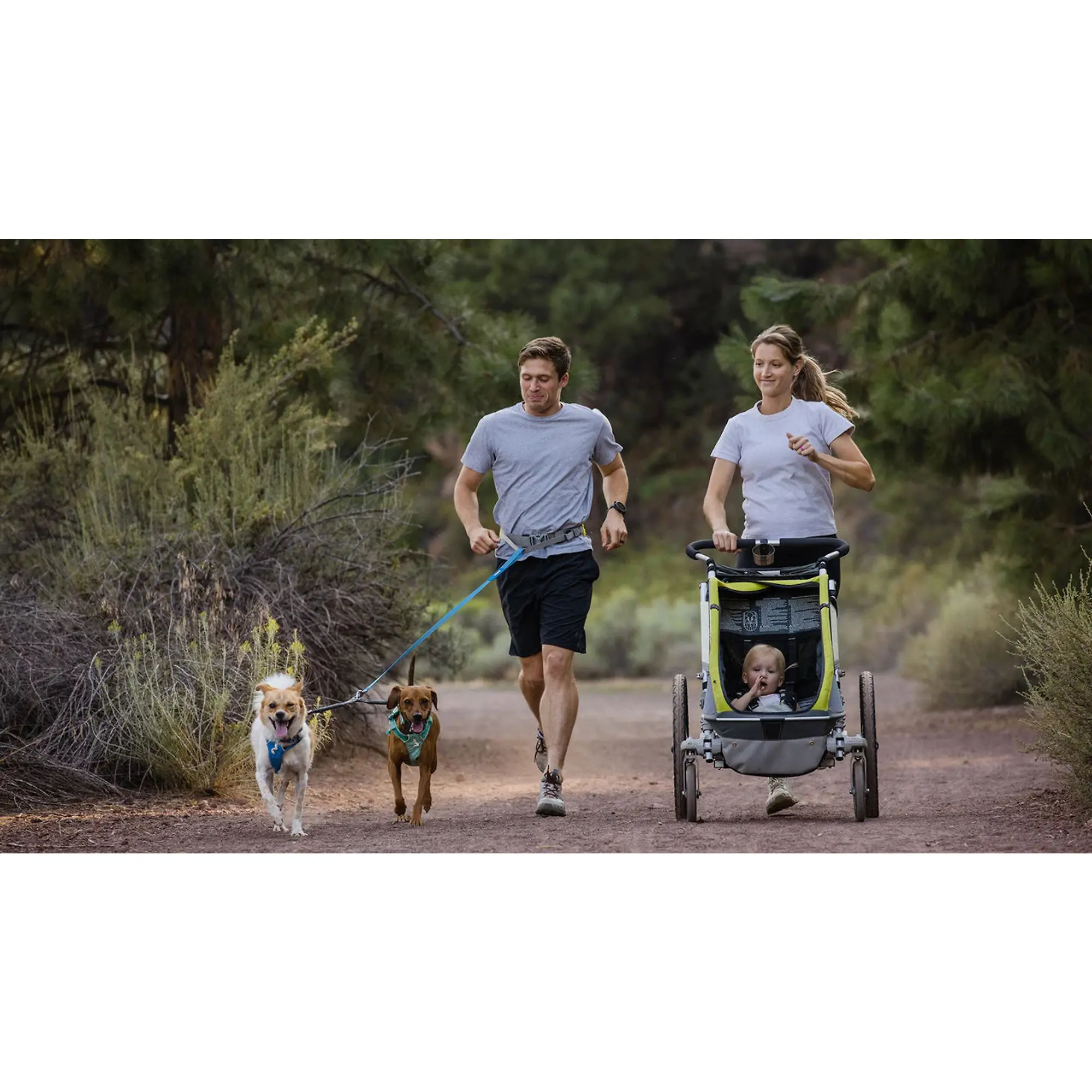 Product image 6 of 8 of RUFFWEAR Double Track Dog Lead Coupler - Basalt Grey