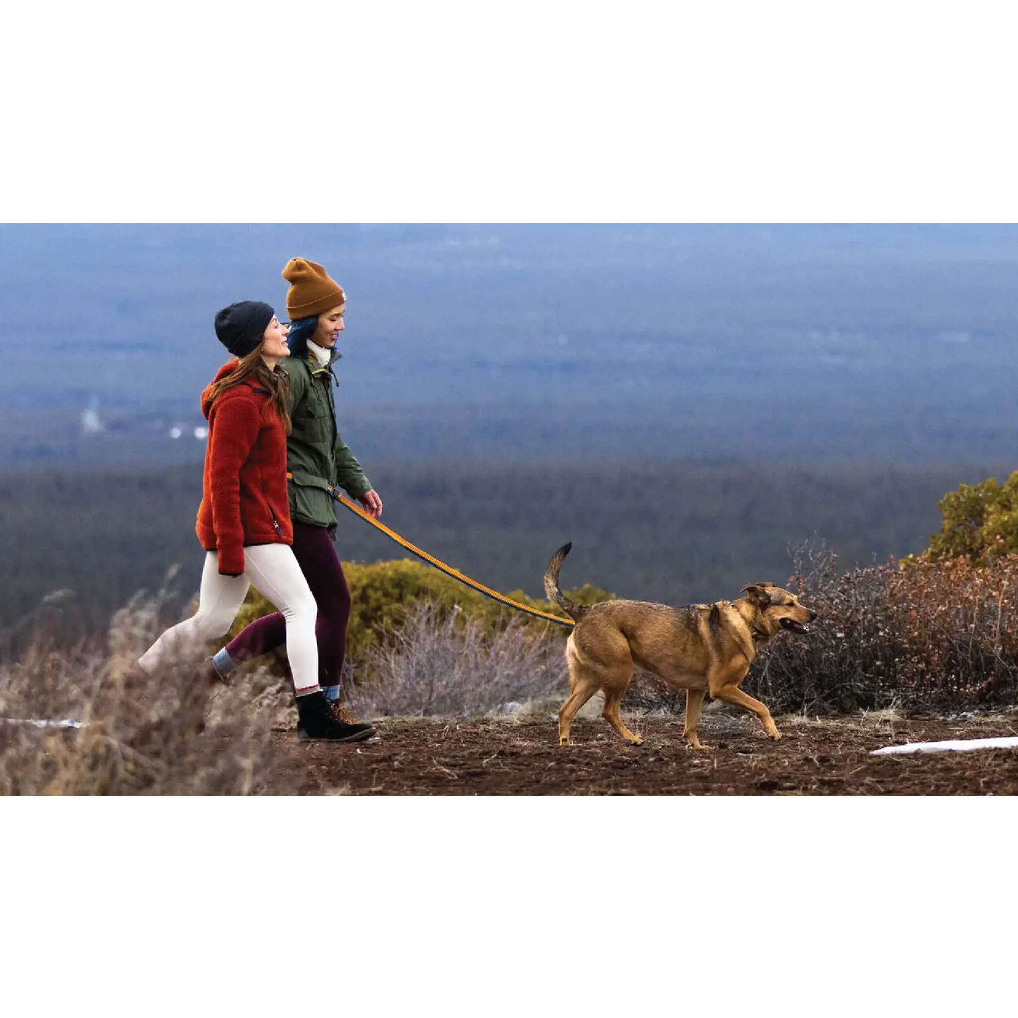 Product image 10 of 11 of RUFFWEAR Roamer Bungee Dog Lead - Orion Blue