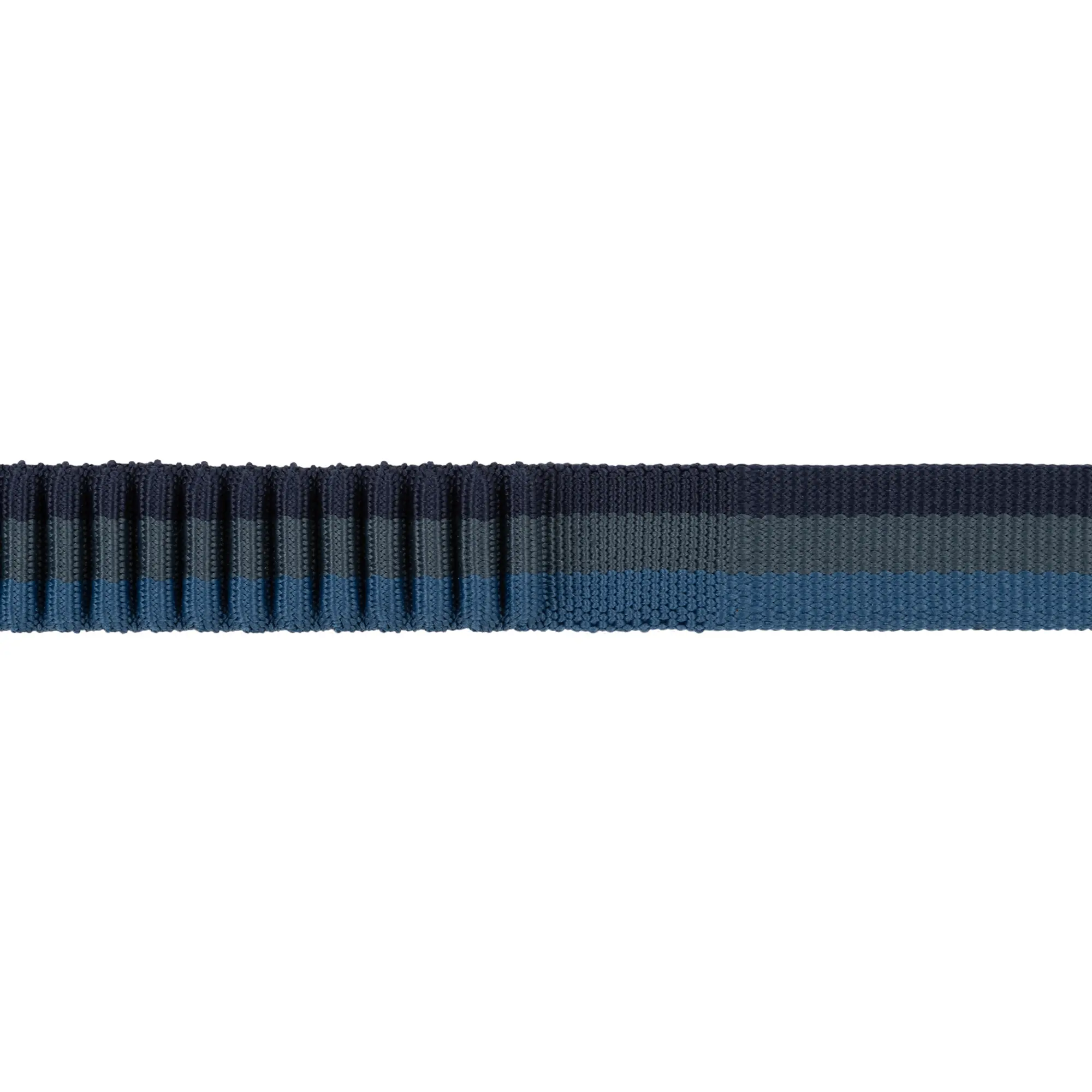 Product image 2 of 11 of RUFFWEAR Roamer Bungee Dog Lead - Orion Blue