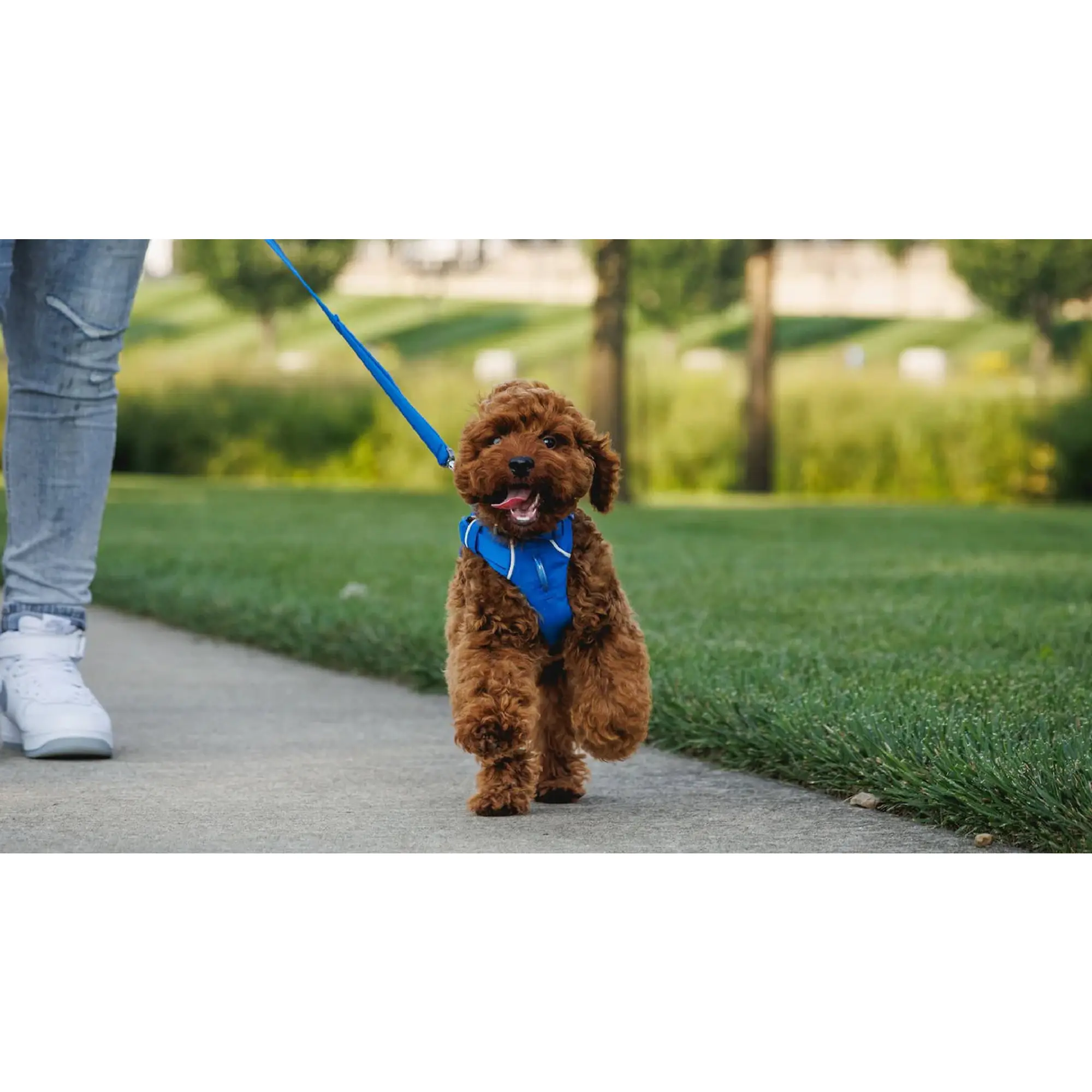 Product image 8 of 9 of RUFFWEAR Front Range Dog Lead - Basalt Grey