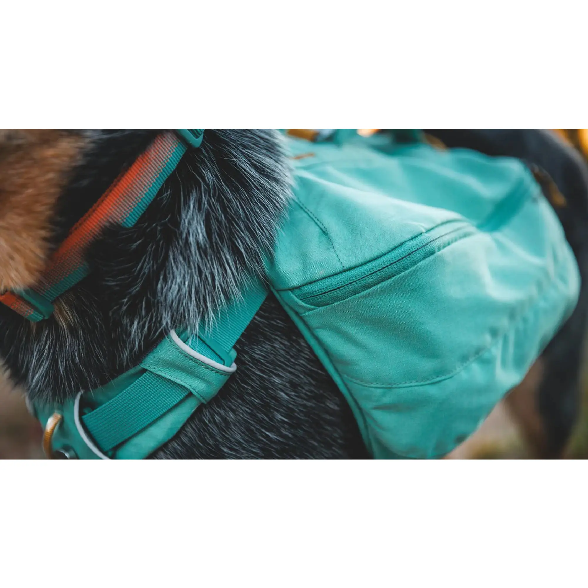 Product image 7 of 12 of RUFFWEAR Front Range Day Pack - River Rock Green