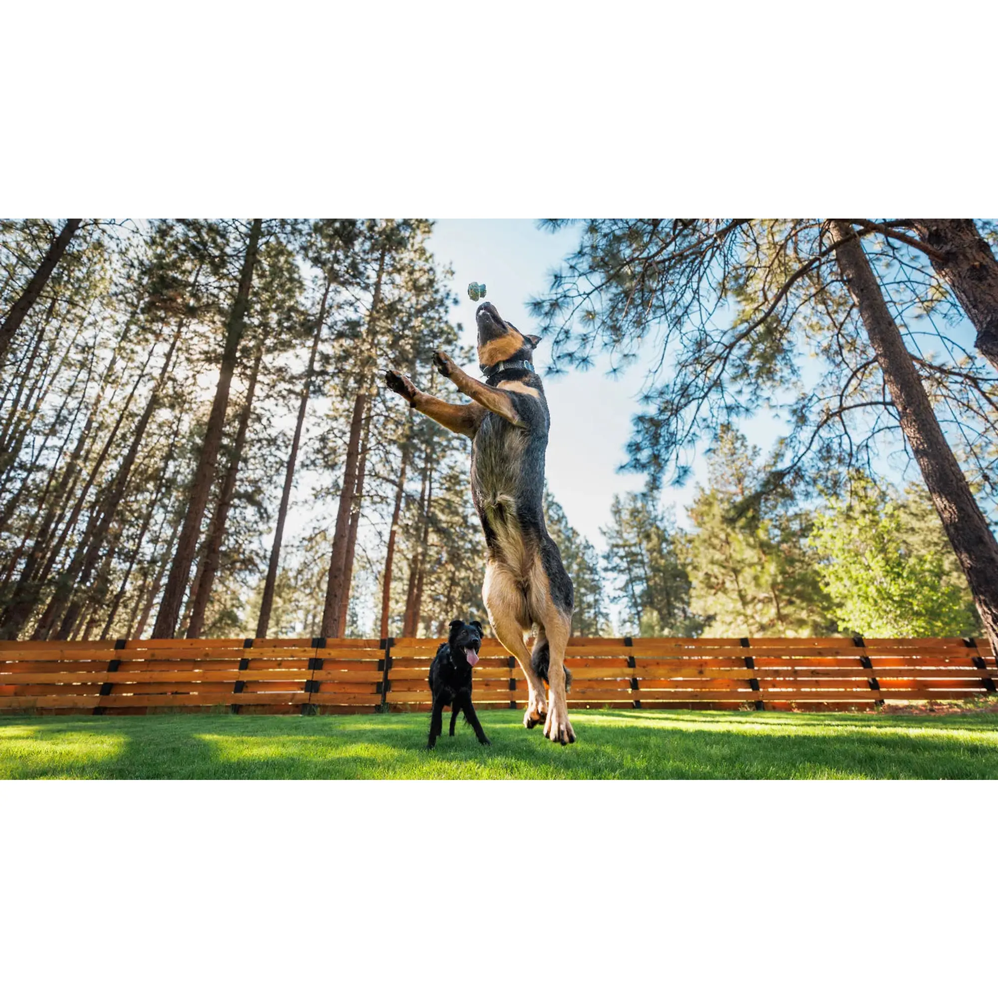 Product image 5 of 6 of RUFFWEAR Toadstool Dog Toy - Moss Green