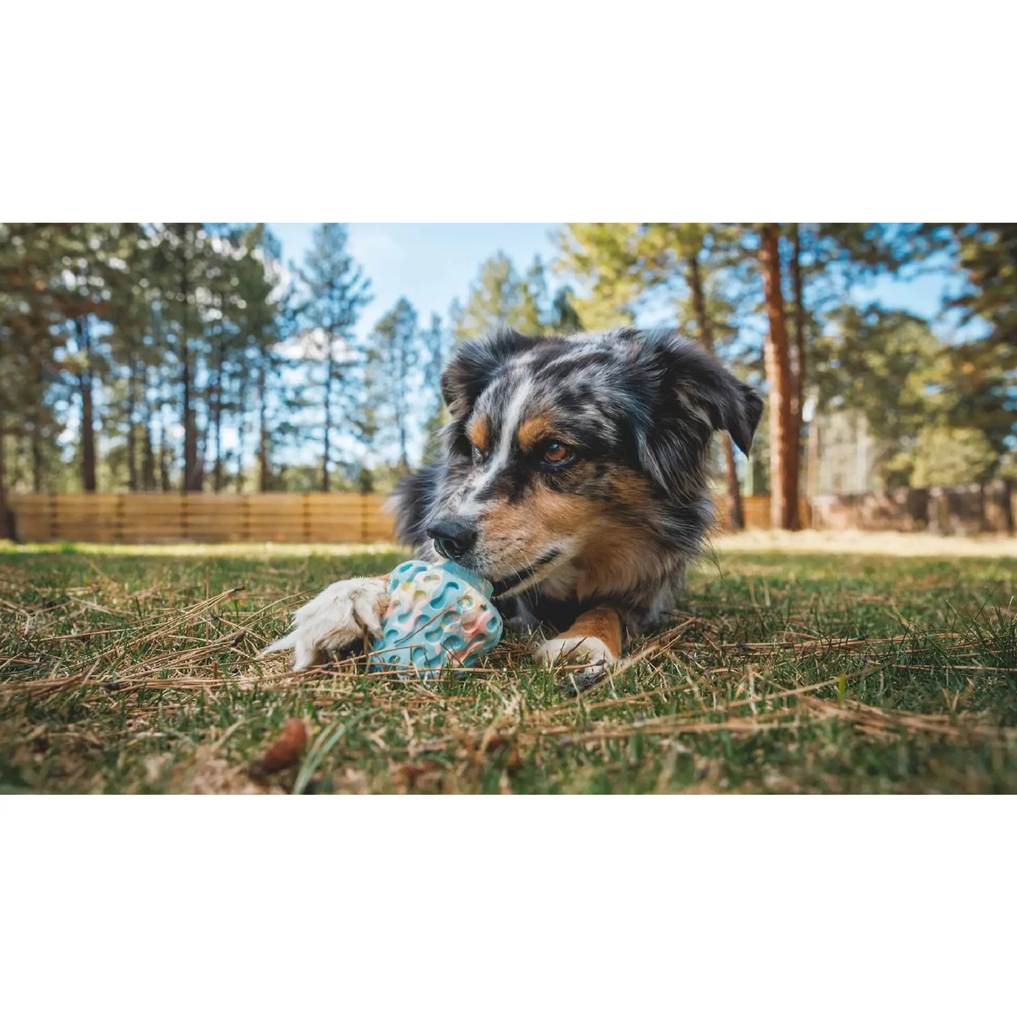 Product image 4 of 5 of RUFFWEAR Morel Dog Toy - Grey Sky