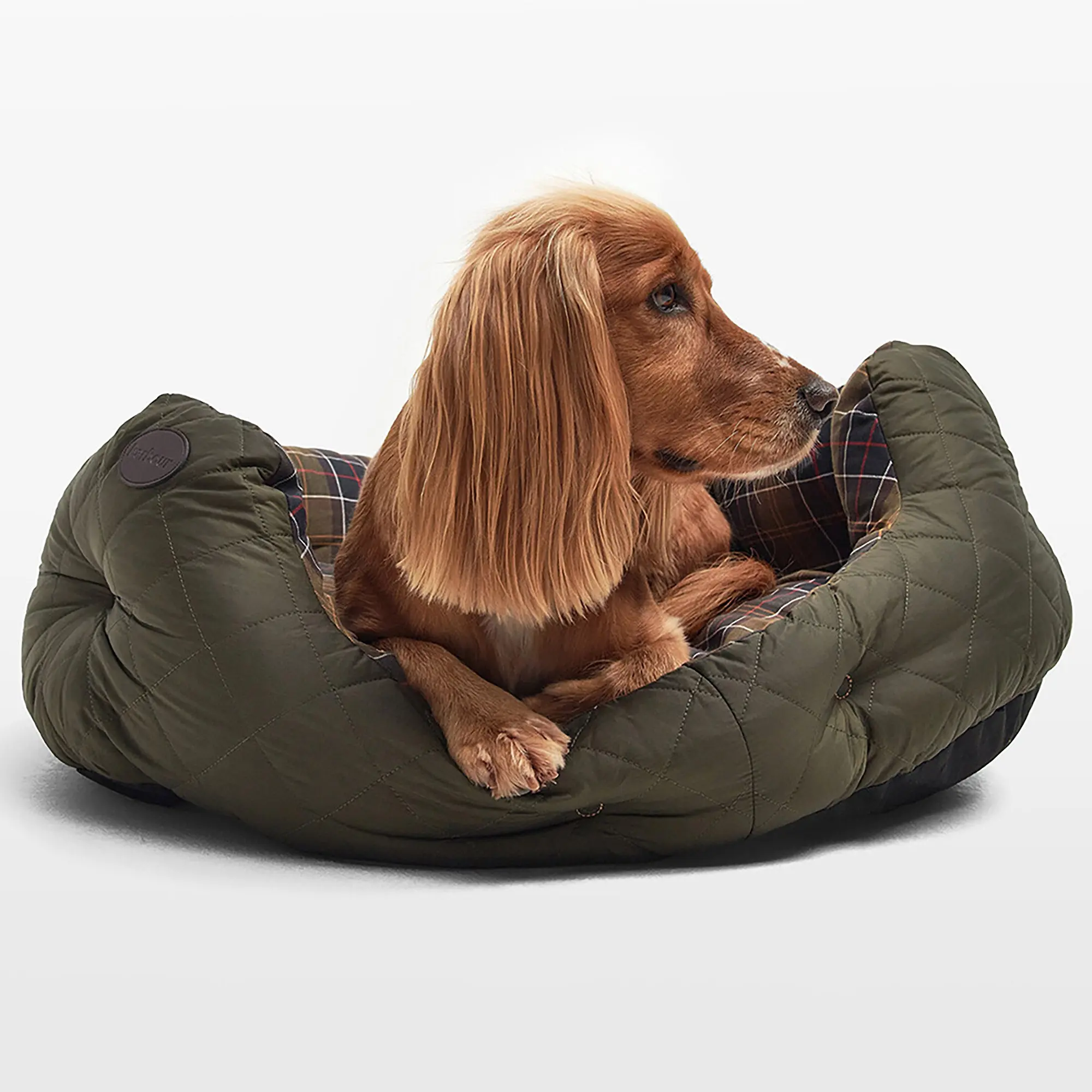 Product image 2 of 6 of Barbour 30in Quilted Dog Bed - Olive