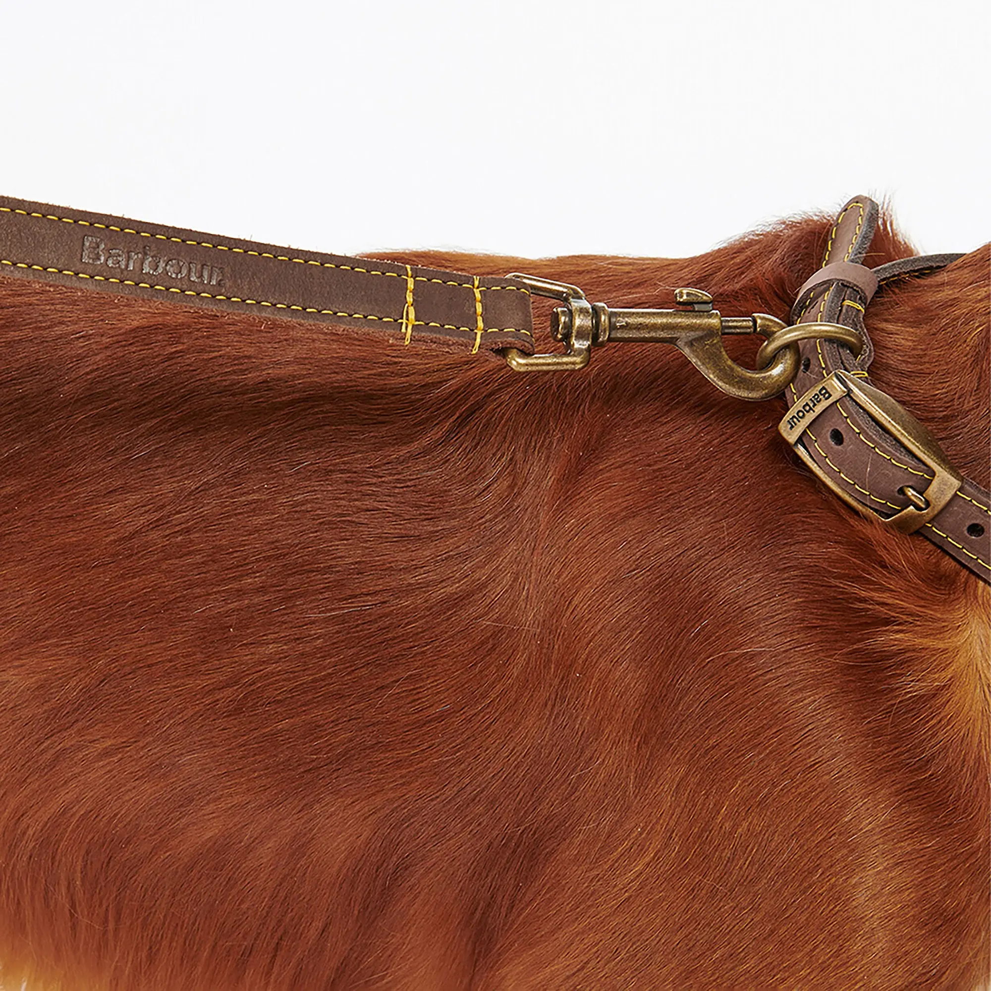 Product image 3 of 6 of Barbour Leather Dog Lead - Brown