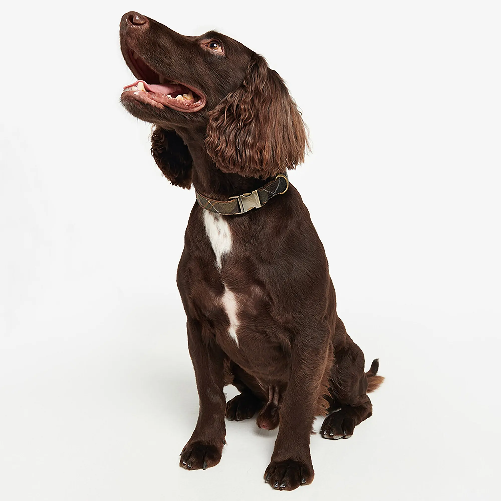 Product image 4 of 4 of Barbour Reflective Tartan Dog Collar - Classic Tartan