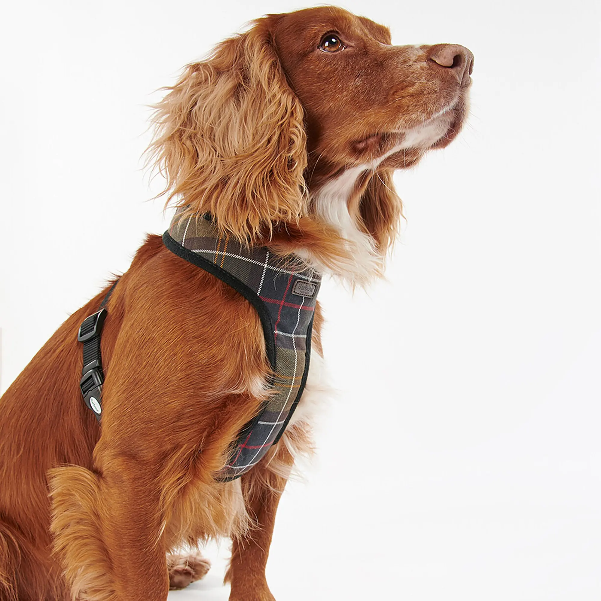 Product image 3 of 9 of Barbour Tartan Dog Harness - Classic Tartan