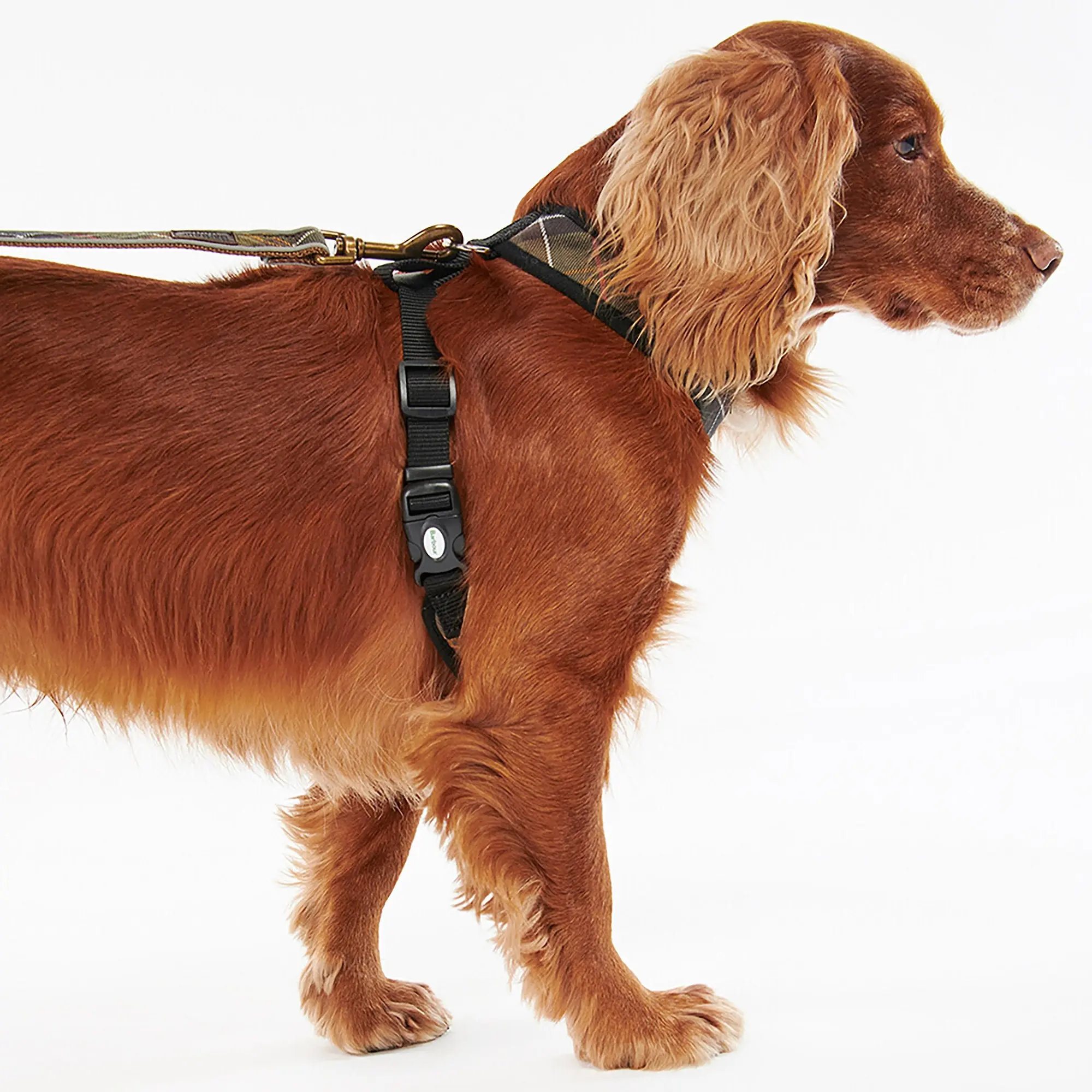 Product image 4 of 9 of Barbour Tartan Dog Harness - Classic Tartan