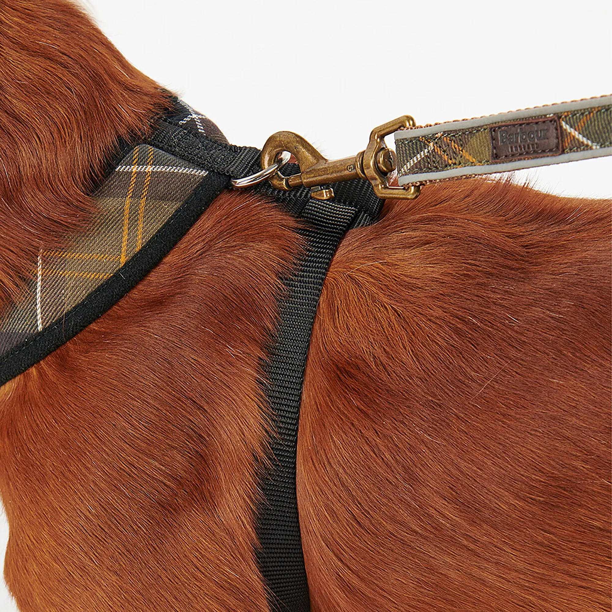 Product image 6 of 9 of Barbour Tartan Dog Harness - Classic Tartan