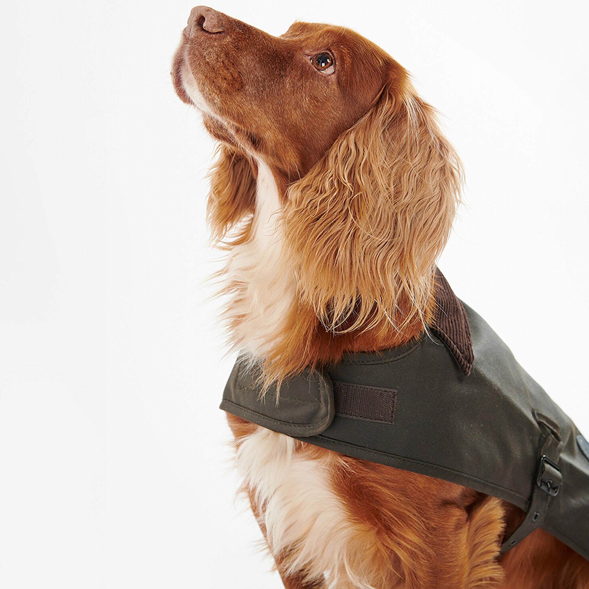 Barbour Wax Dog Coat - Olive | British Attire