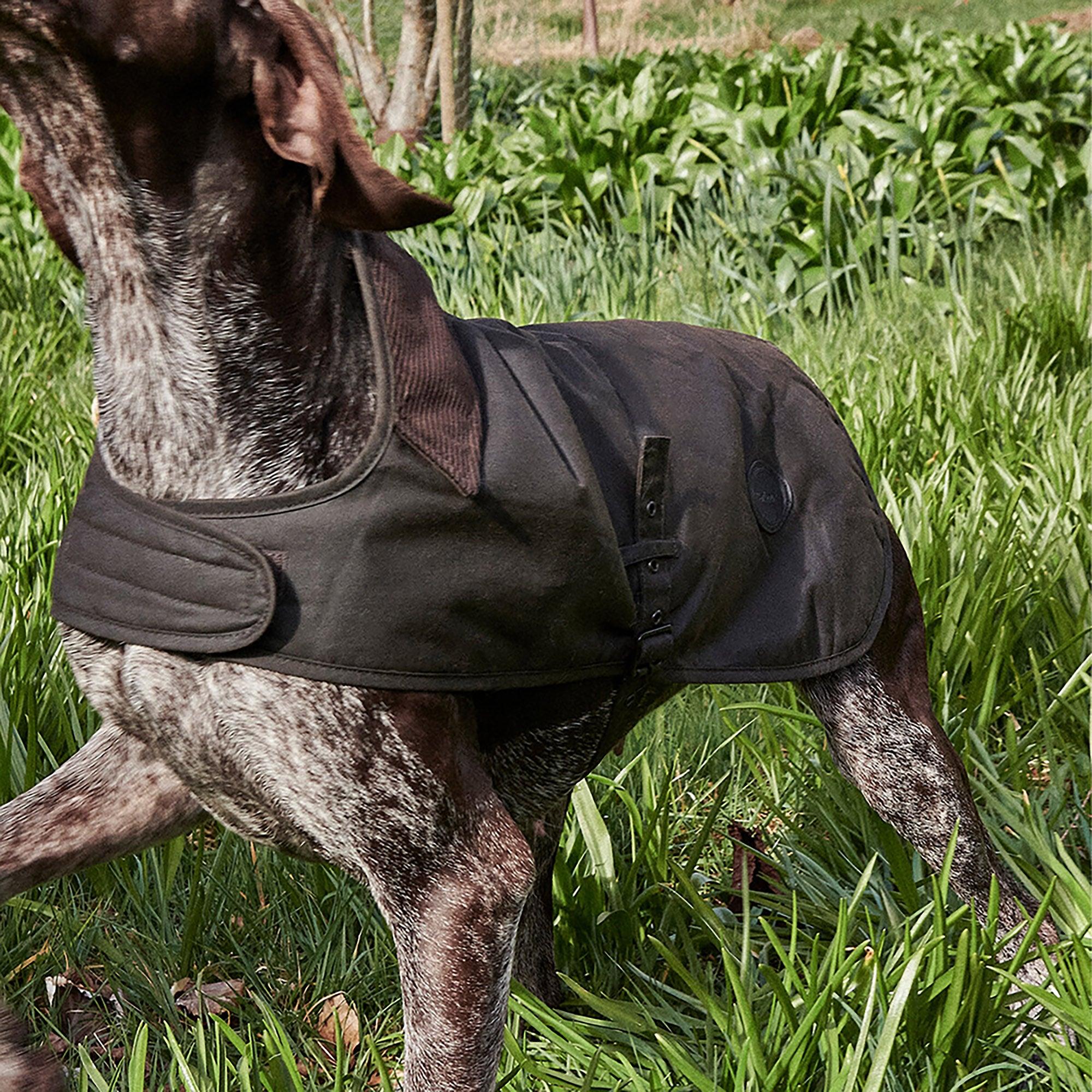 Barbour Wax Dog Coat - Olive | British Attire