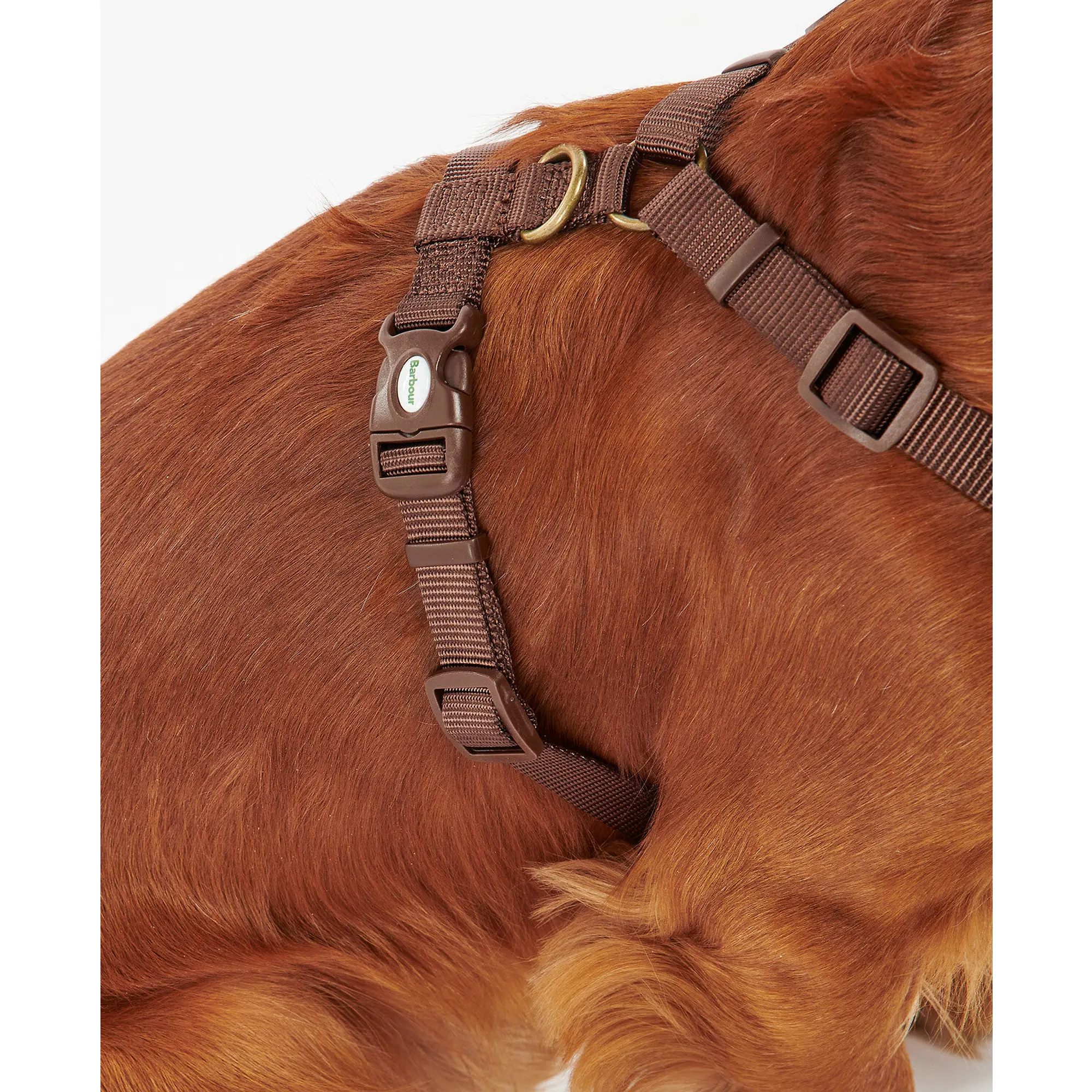 Product image 6 of 8 of Barbour Travel & Exercise Dog Harness - Classic Tartan