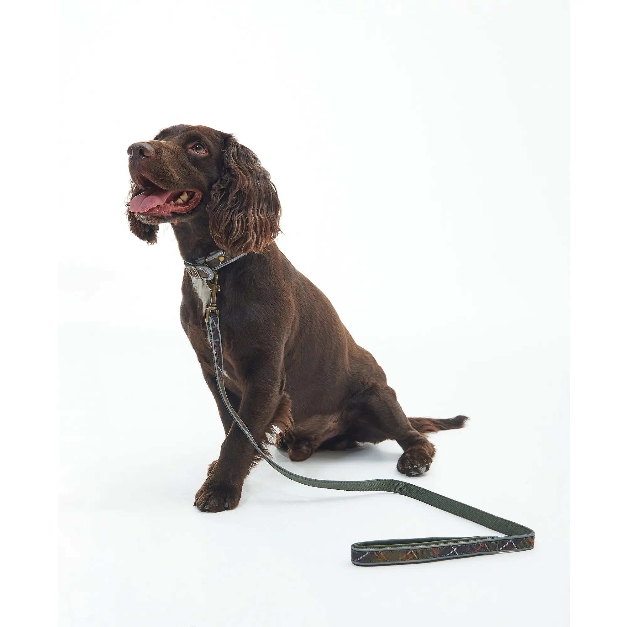 Product image 4 of 5 of Barbour Reflective Tartan Comfort Dog Lead - Classic Tartan