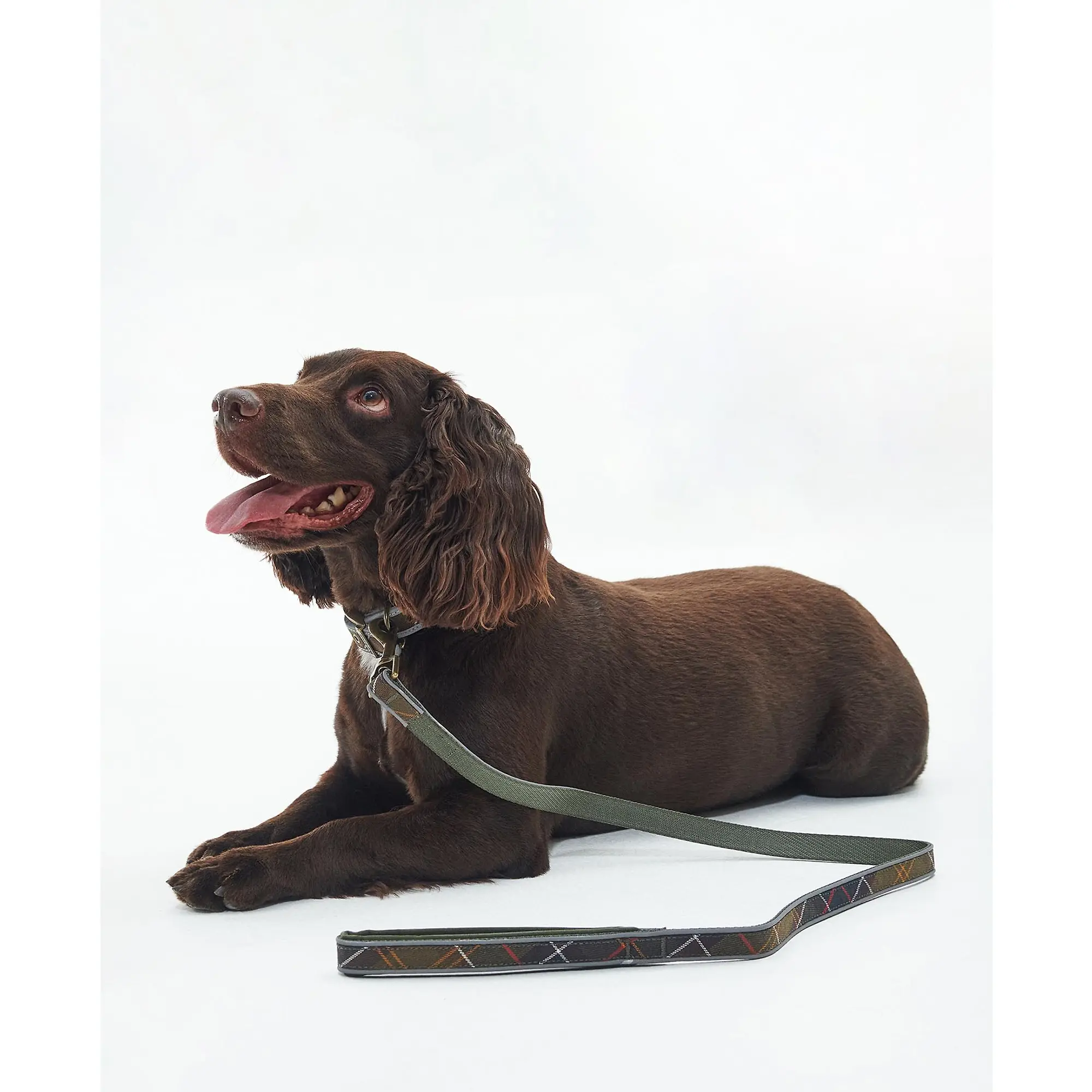 Product image 2 of 5 of Barbour Reflective Tartan Comfort Dog Lead - Classic Tartan