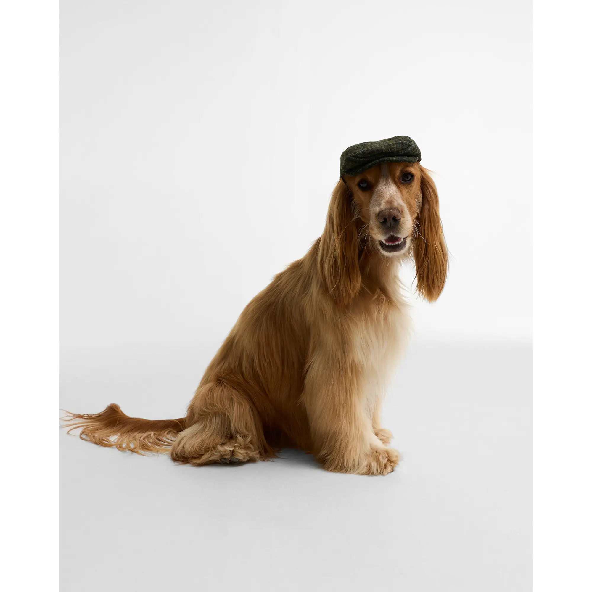 Product image 2 of 7 of Barbour Wilkin Dog Flat Cap - Olive Check
