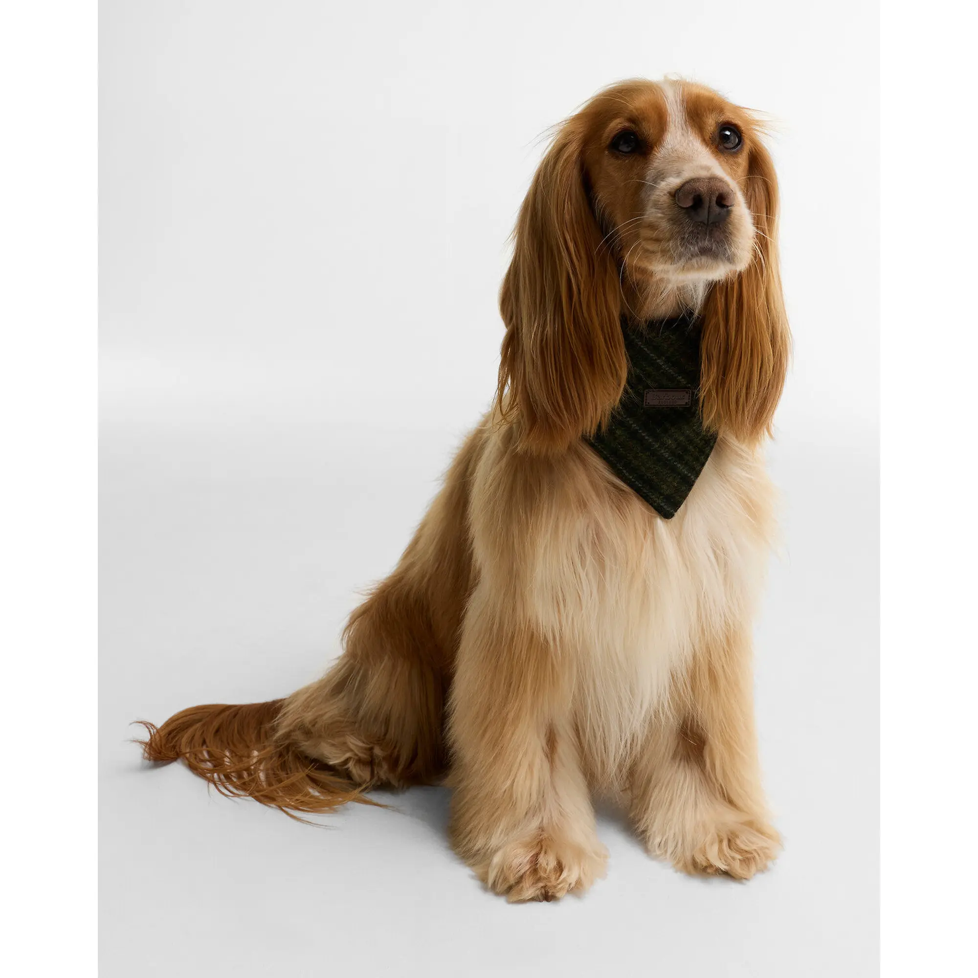 Product image 2 of 6 of Barbour Wilkin Dog Bandana - Olive Check