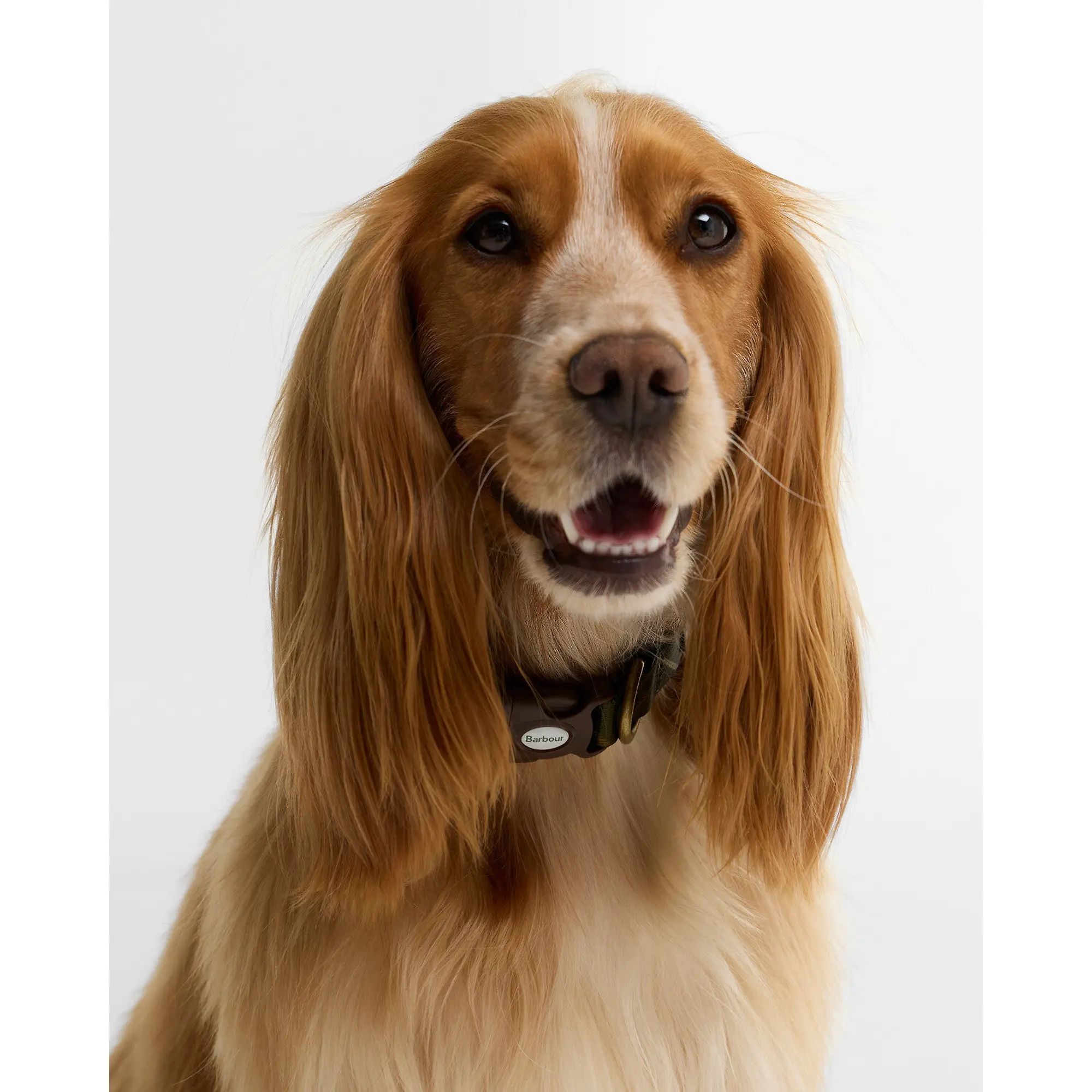 Product image 2 of 5 of Barbour Pets Tartan Printed Dog Collar - Classic Tartan