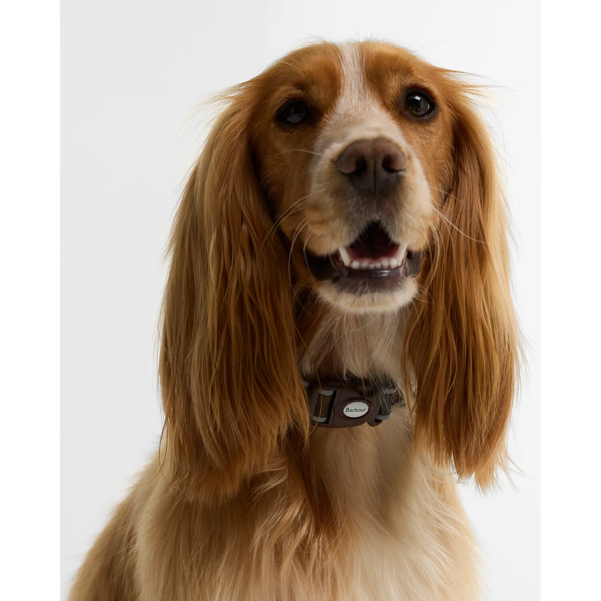 Product image 2 of 5 of Barbour Reflective Tartan Dog Collar - Classic Tartan