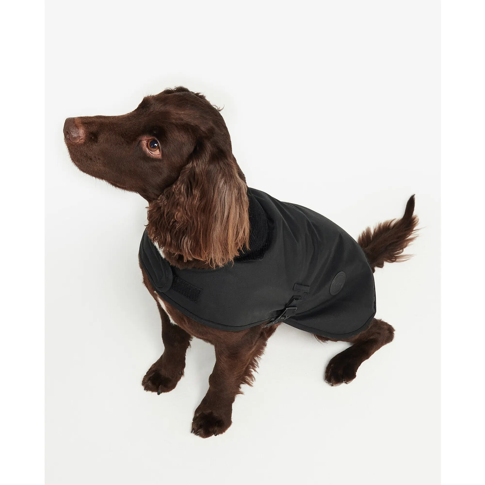 Product image 5 of 8 of Barbour Wax Dog Coat - Black