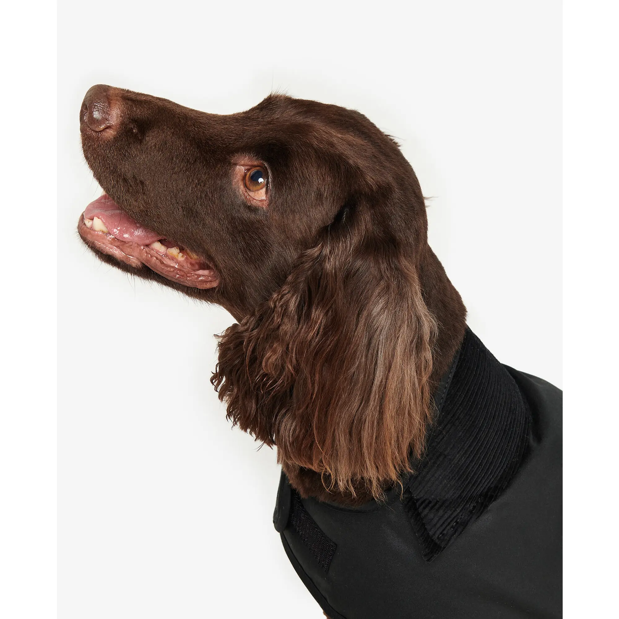 Product image 7 of 8 of Barbour Wax Dog Coat - Black