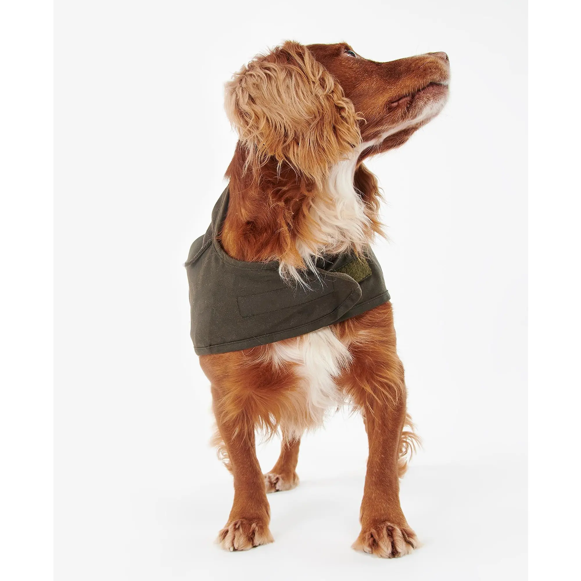 Product image 6 of 8 of Barbour 2 in 1 Wax Dog Coat - Olive