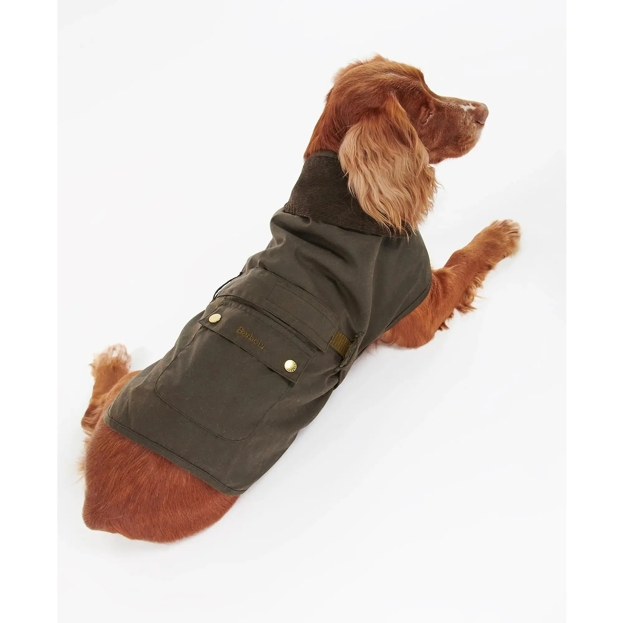 Product image 7 of 8 of Barbour 2 in 1 Wax Dog Coat - Olive