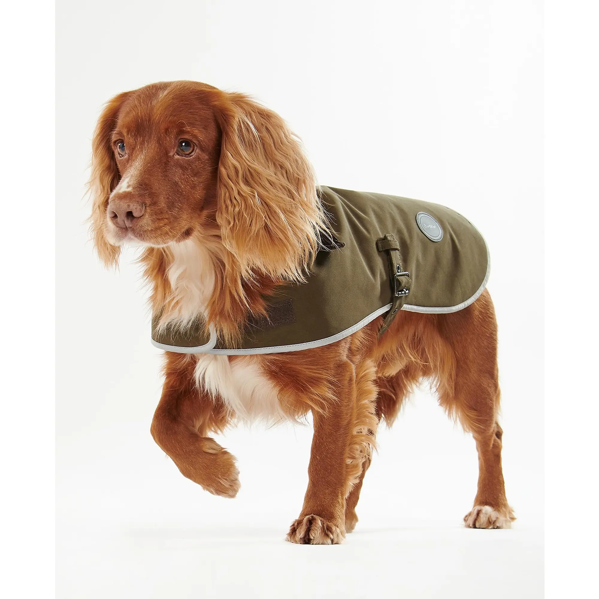 Product image 4 of 7 of Barbour Waterproof Dog Coat - Olive