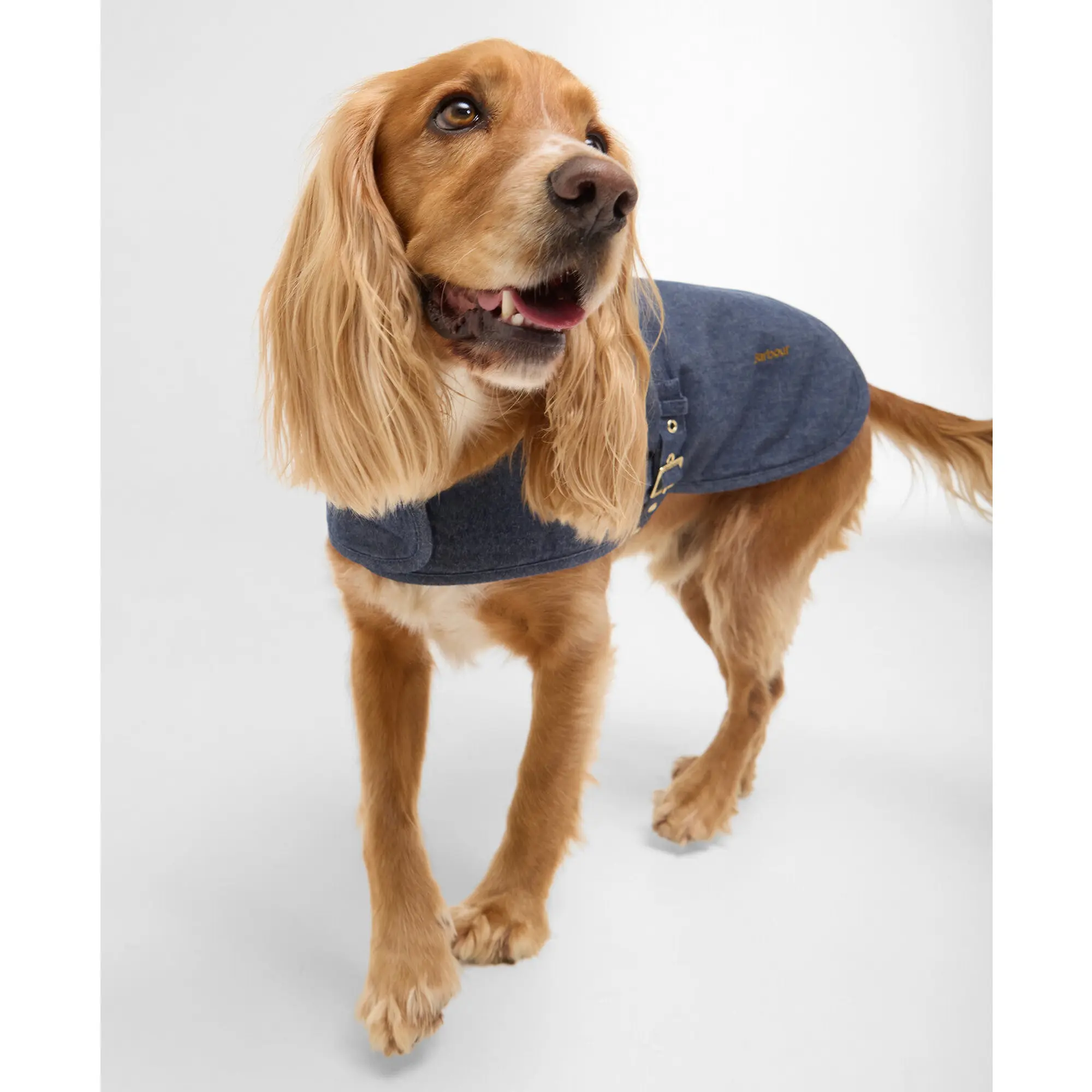 Product image 2 of 8 of Barbour Denim Drywax Dog Coat - Indigo