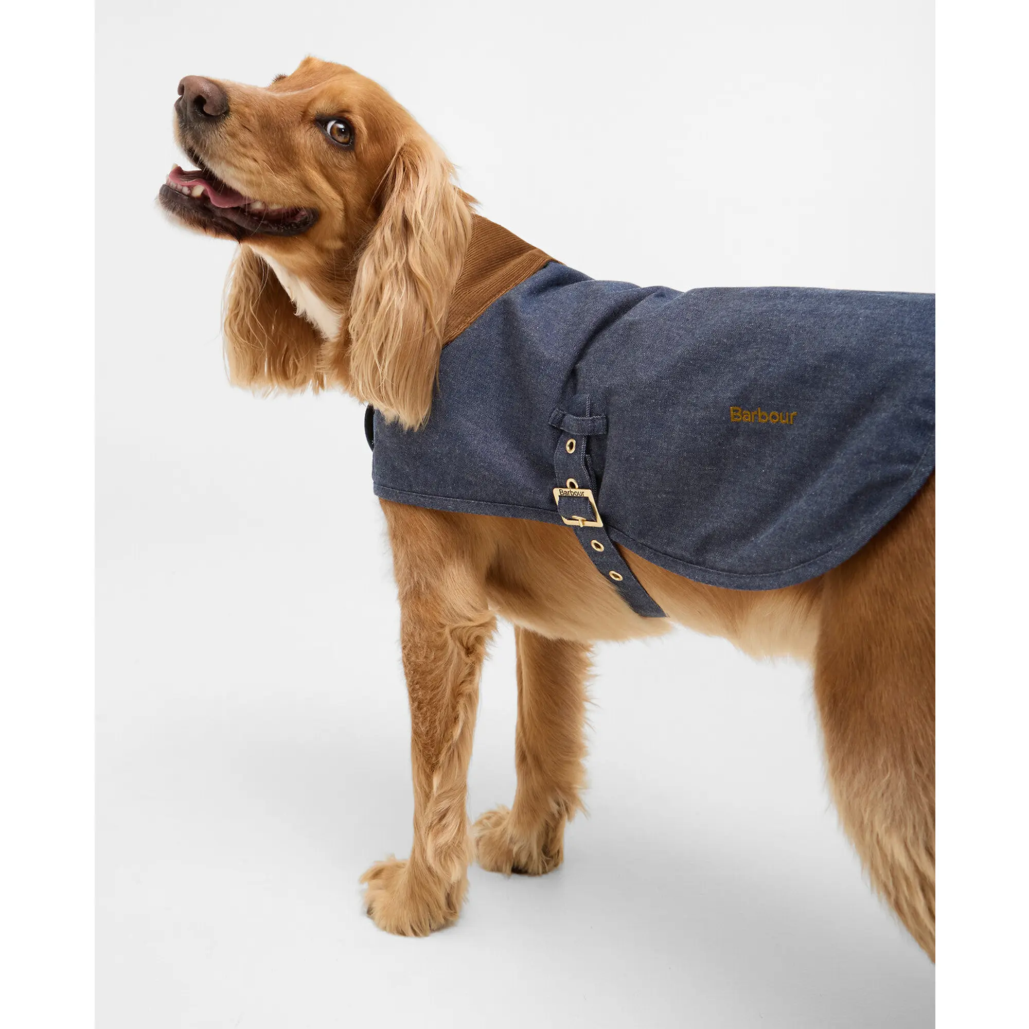 Product image 3 of 8 of Barbour Denim Drywax Dog Coat - Indigo