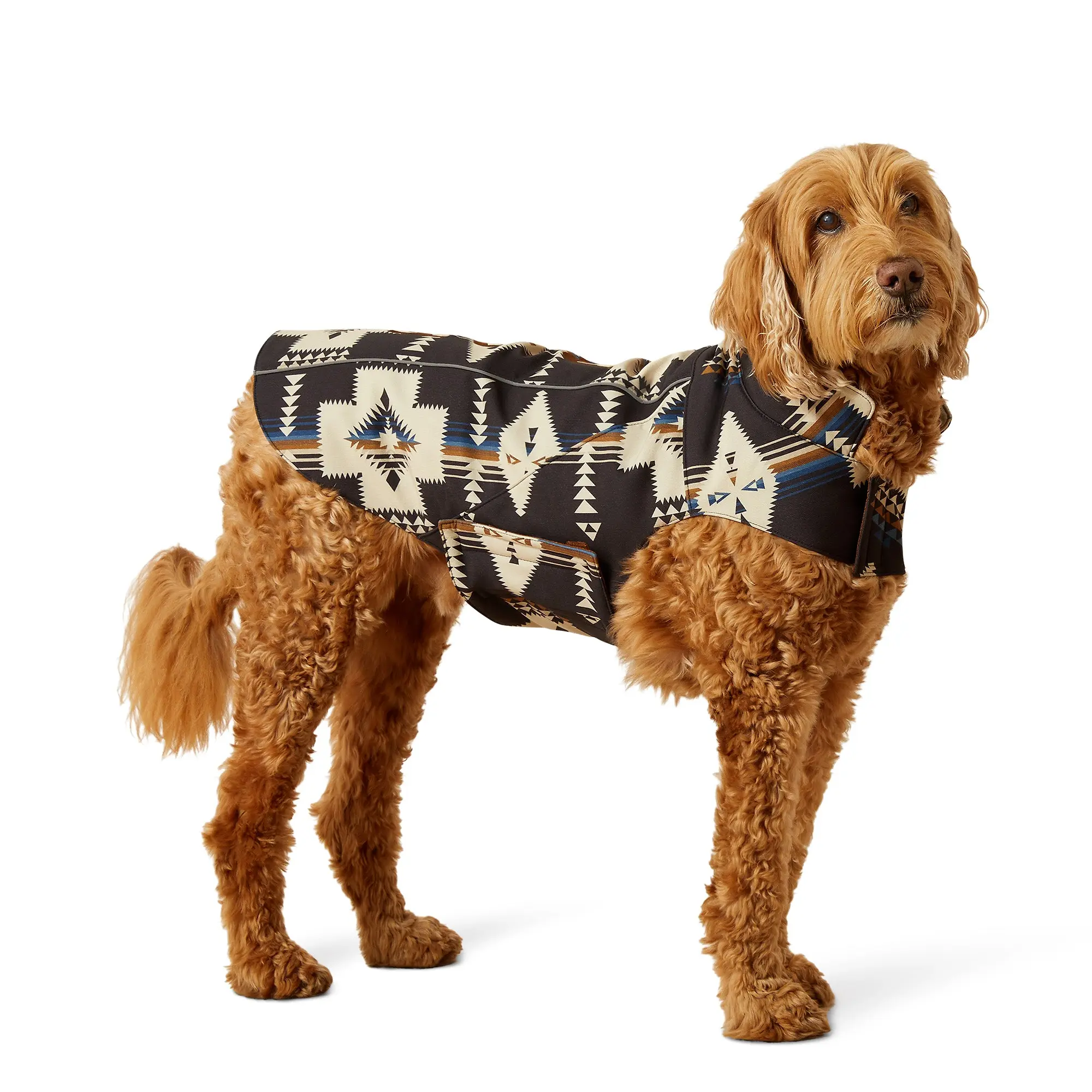 Product image 4 of 6 of Ariat Team Softshell Dog Jacket - Thornstone Print